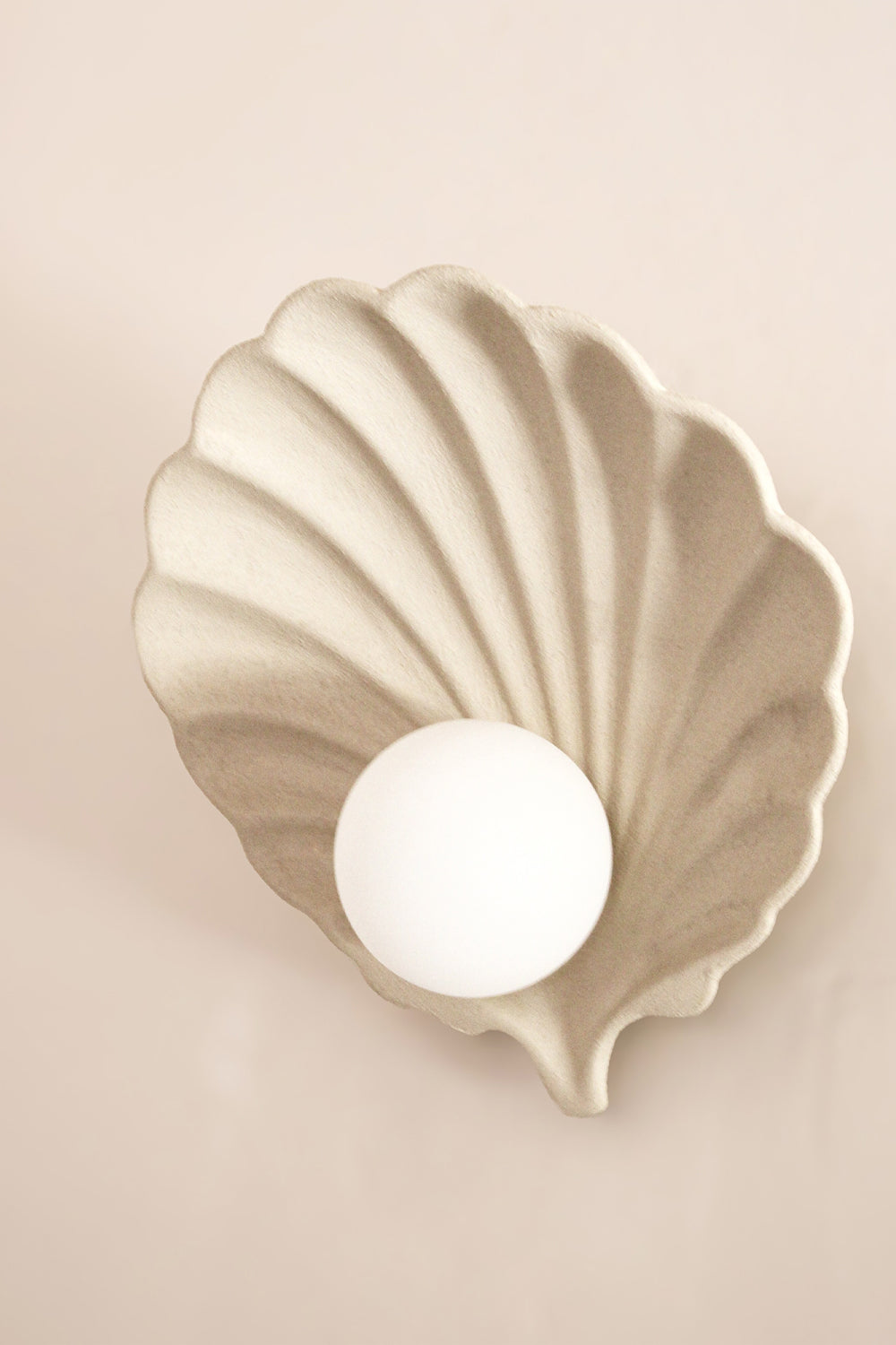 Venüs İstiridye Aplik - 0