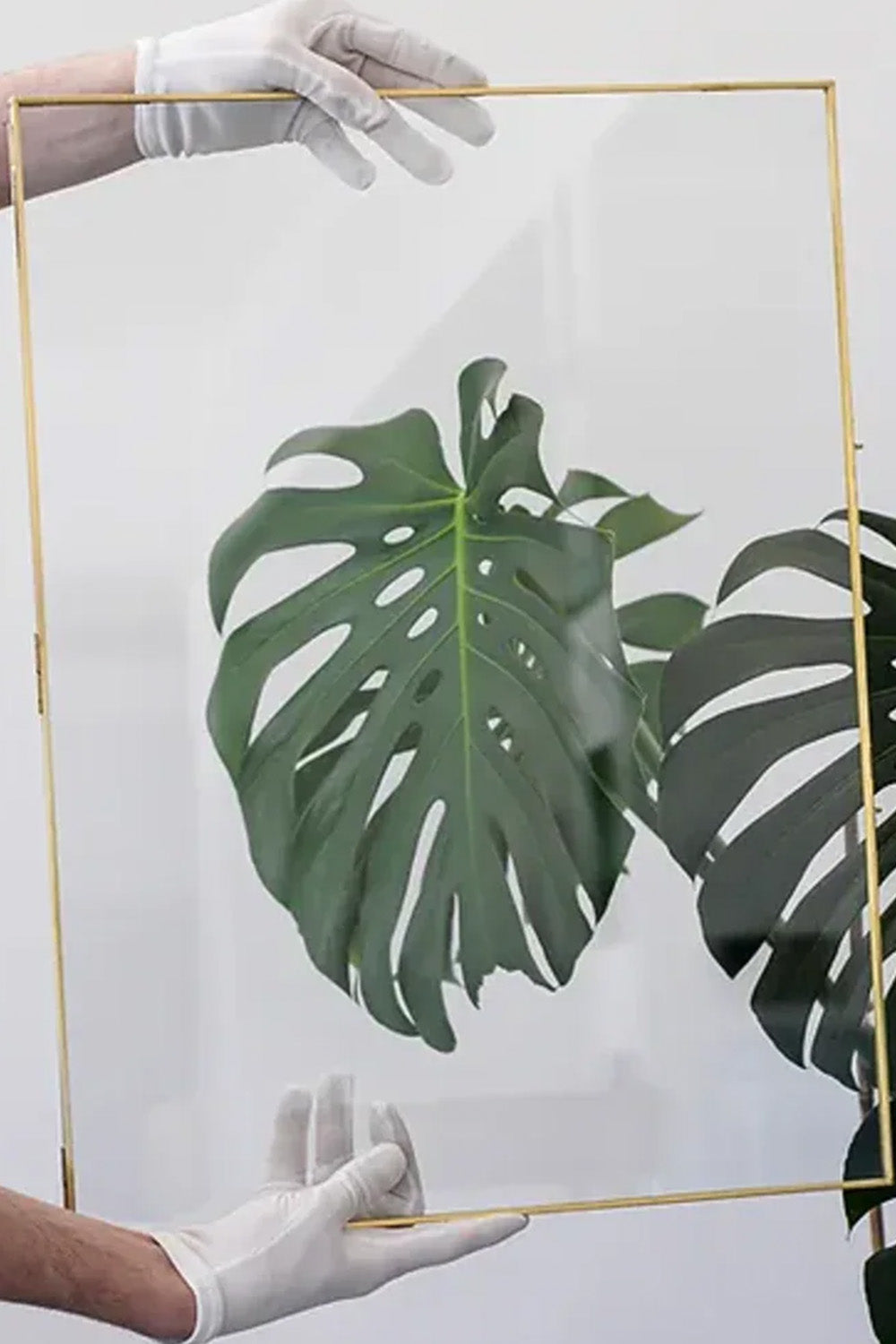 Pirinç Zincirsiz Duvar Aparatlı Cam Fotoğraf Çerçevesi 60x45cm - 7