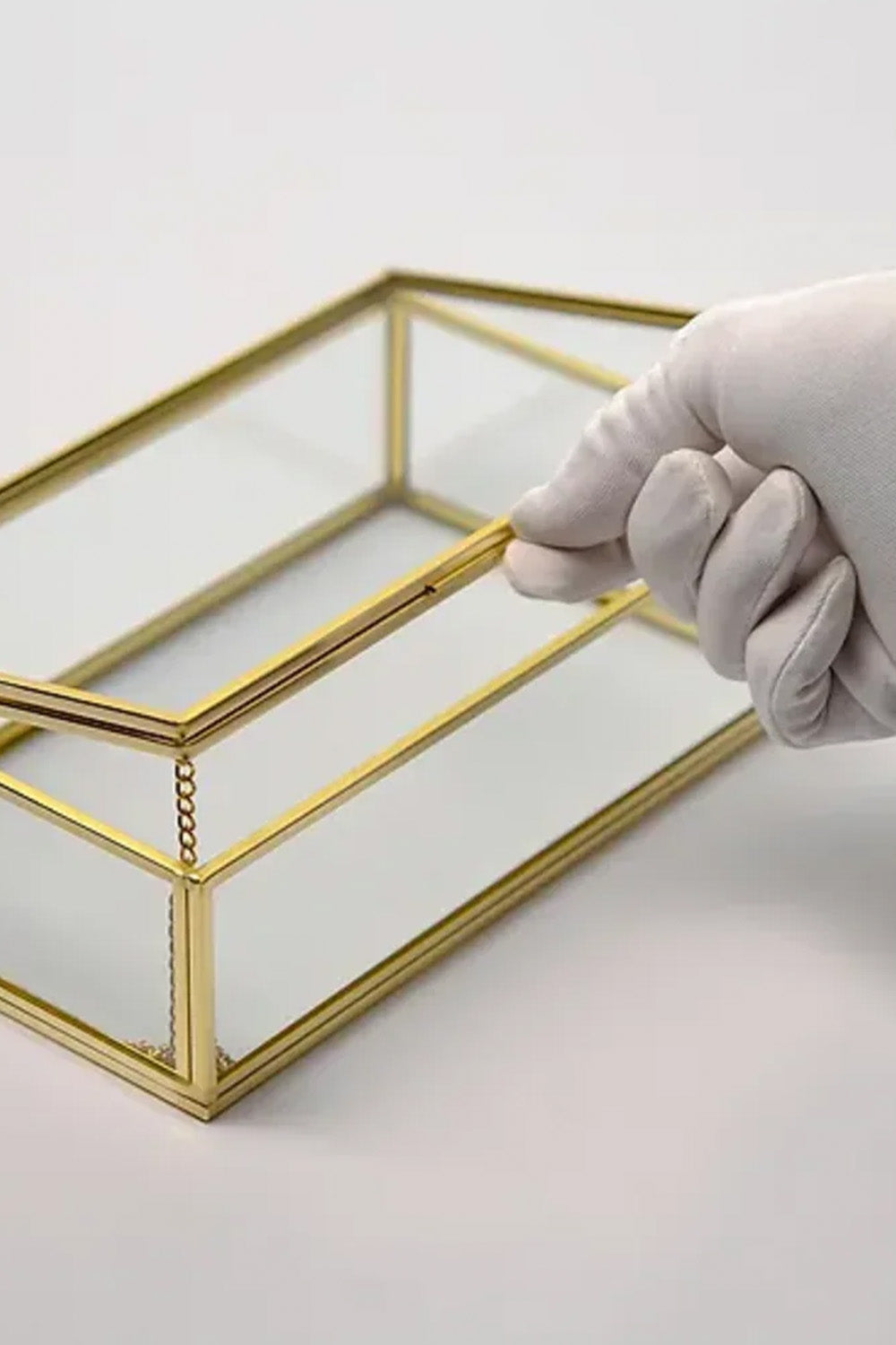 Pirinç Kapaklı Kutu Cam Kuru Çiçek Organizer Takı Aksesuar Çerçeve 23x14x6cm - 2