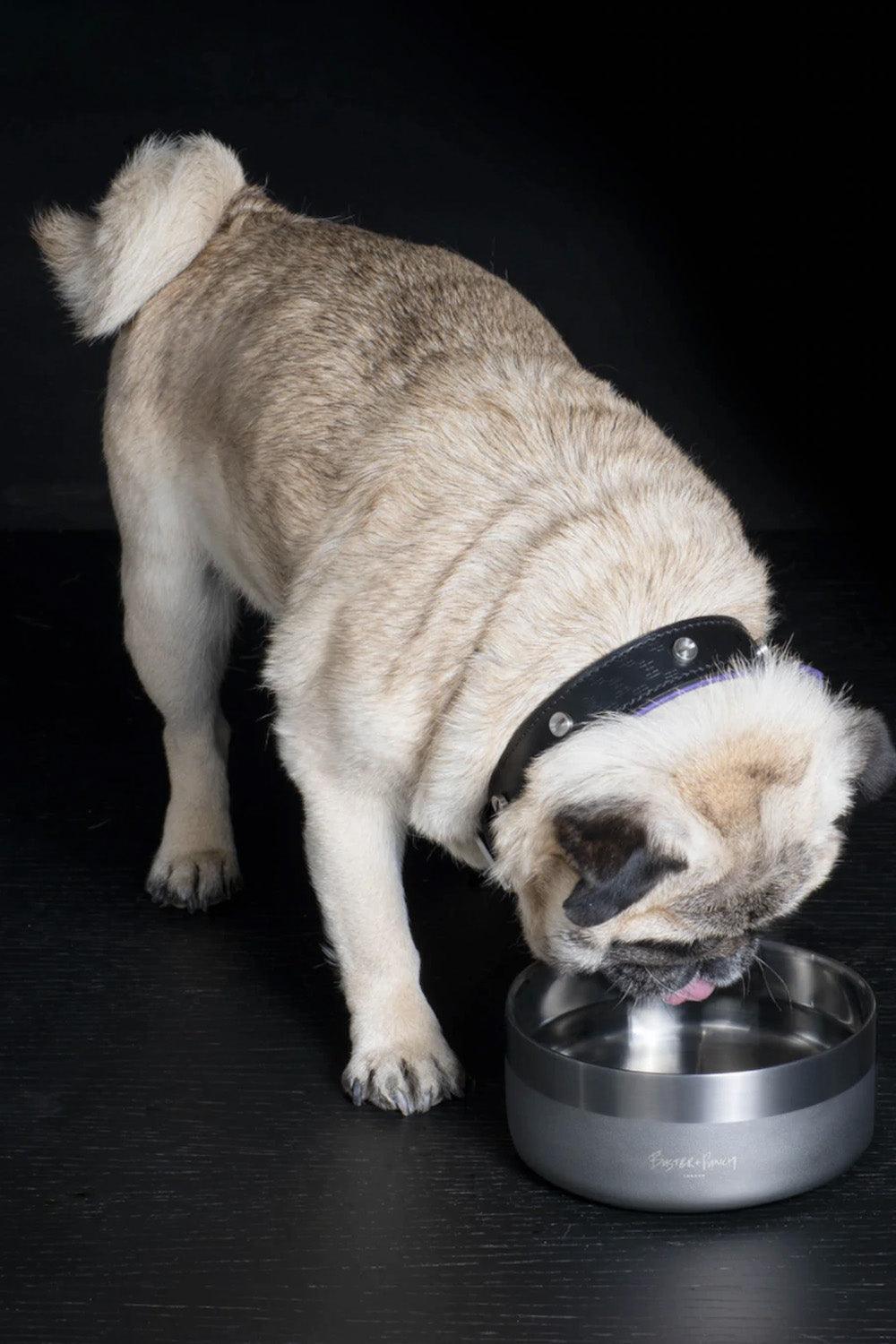 Dog Bowl Gun Metal - 0