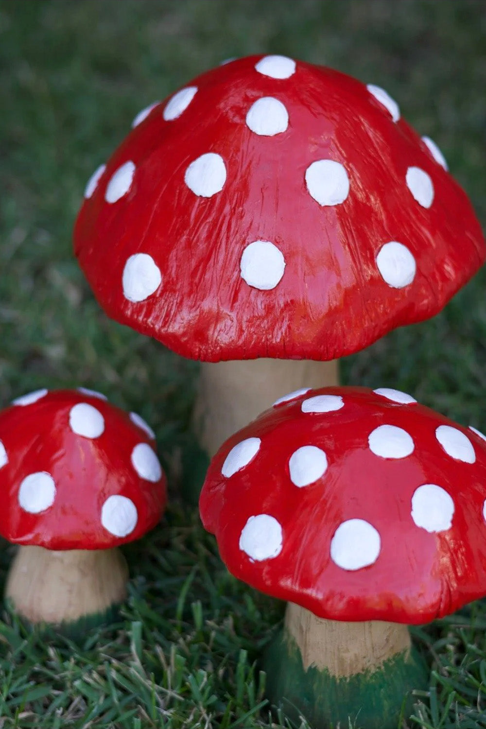 Neşeli Mantarlar - 1