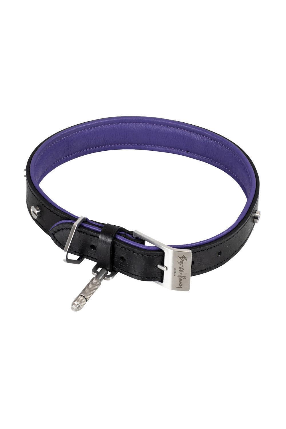 Dog Collar Steel - 0