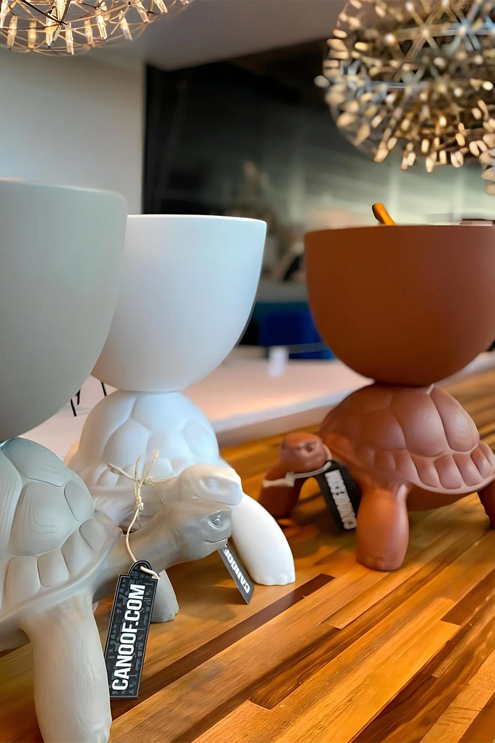 Turtle Carry Terracotta Saksı/şampanya Soğutucu - 1