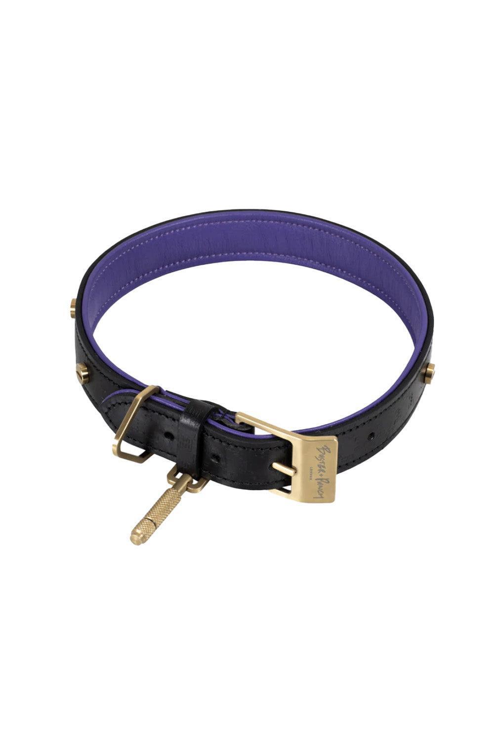 Dog Collar Brass - 1