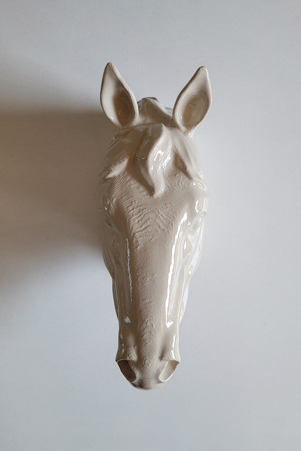 At Kafası Duvar Figürü | Kemik - 2