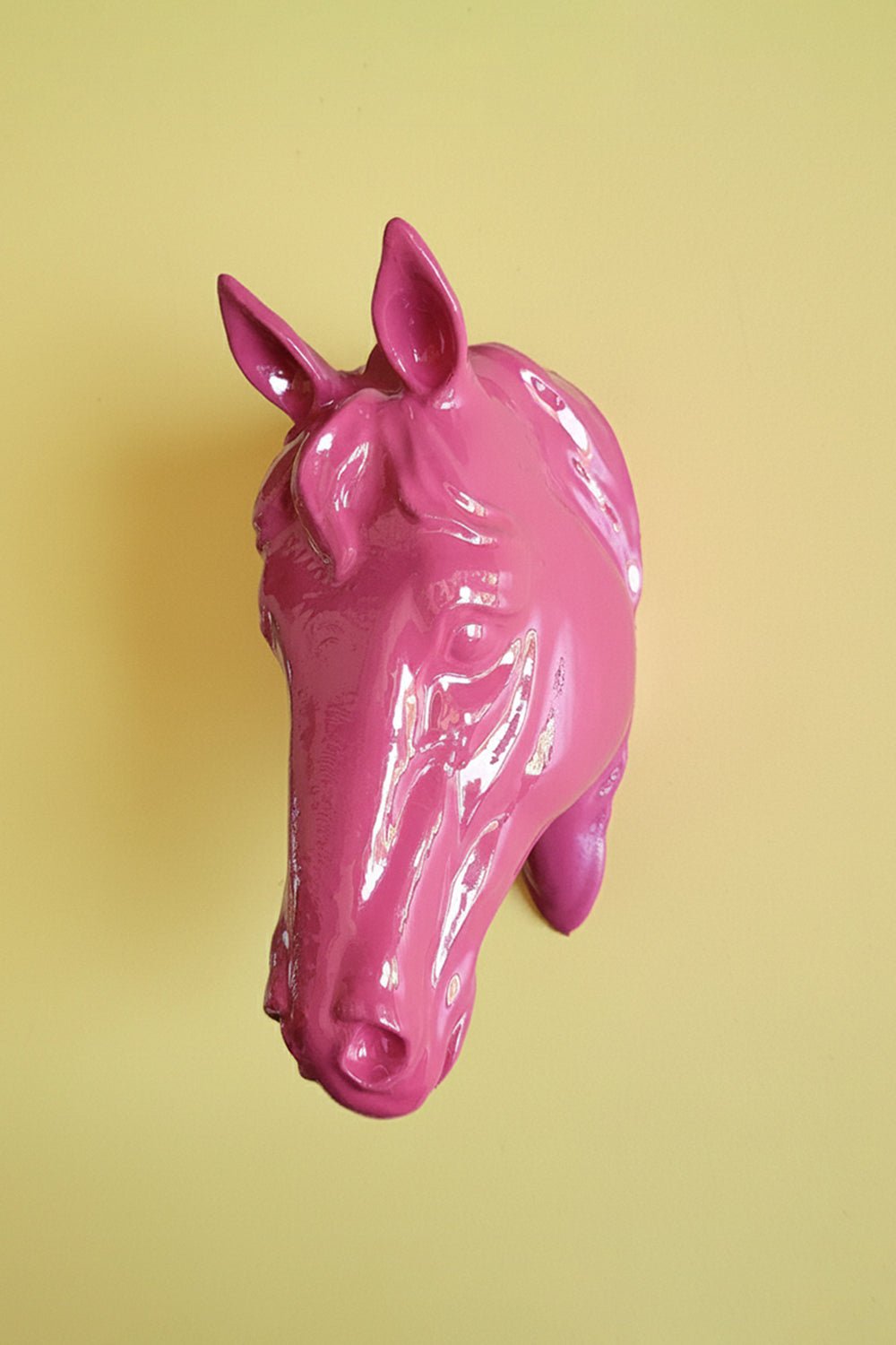 At Kafası Duvar Figürü | Begonvil - 0