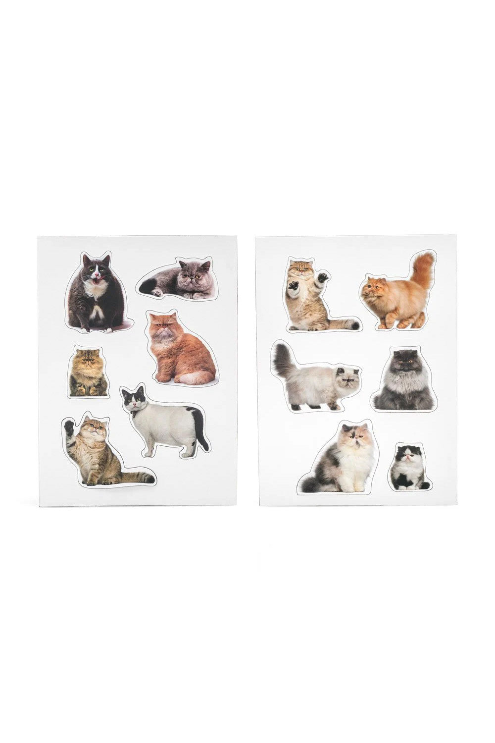 Mustard şişman Kediler Magnet - 0