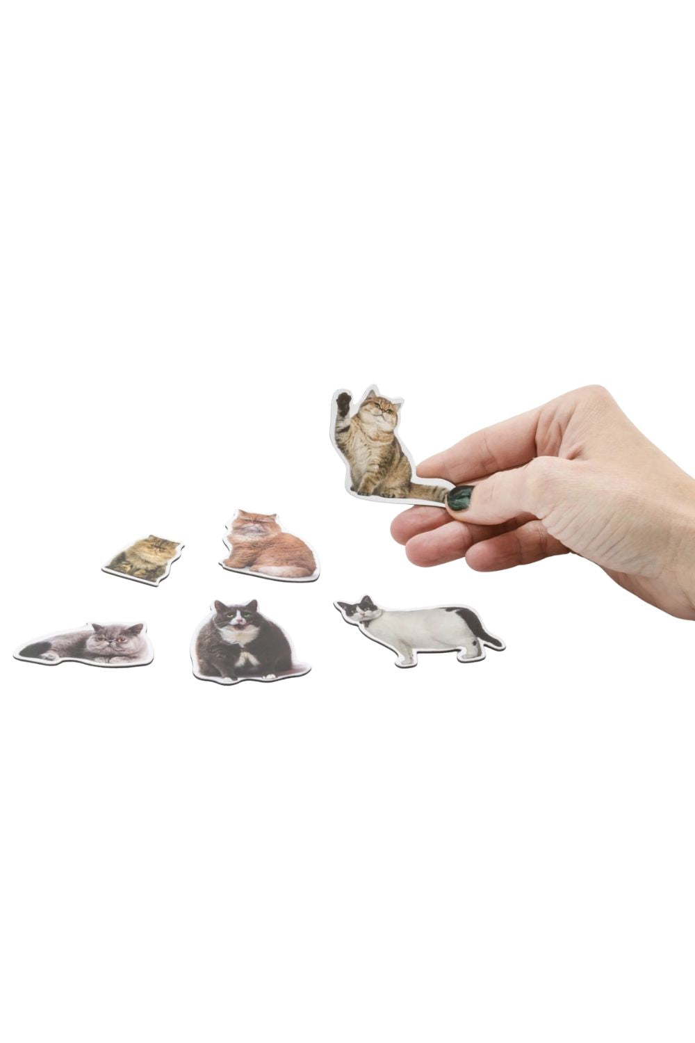 Mustard Cat Magnet - 1