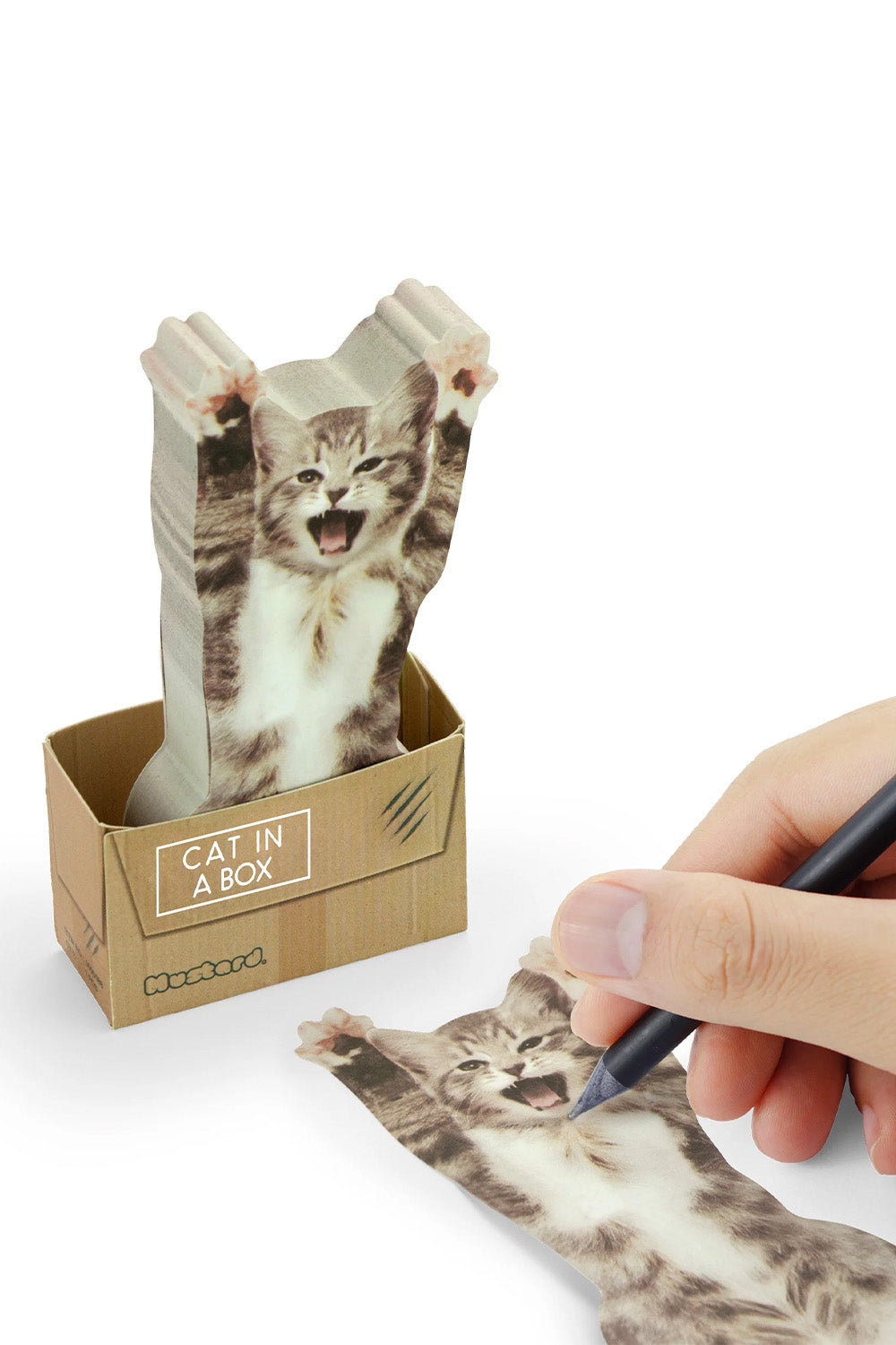 Mustard Cat In A Box - 1