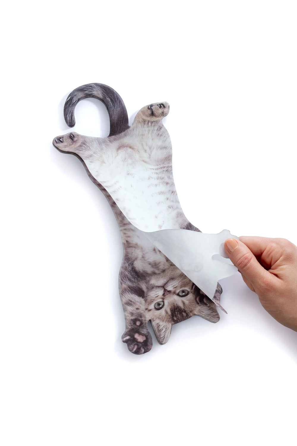 Mustard Cat Asılabilir Notluk - 6