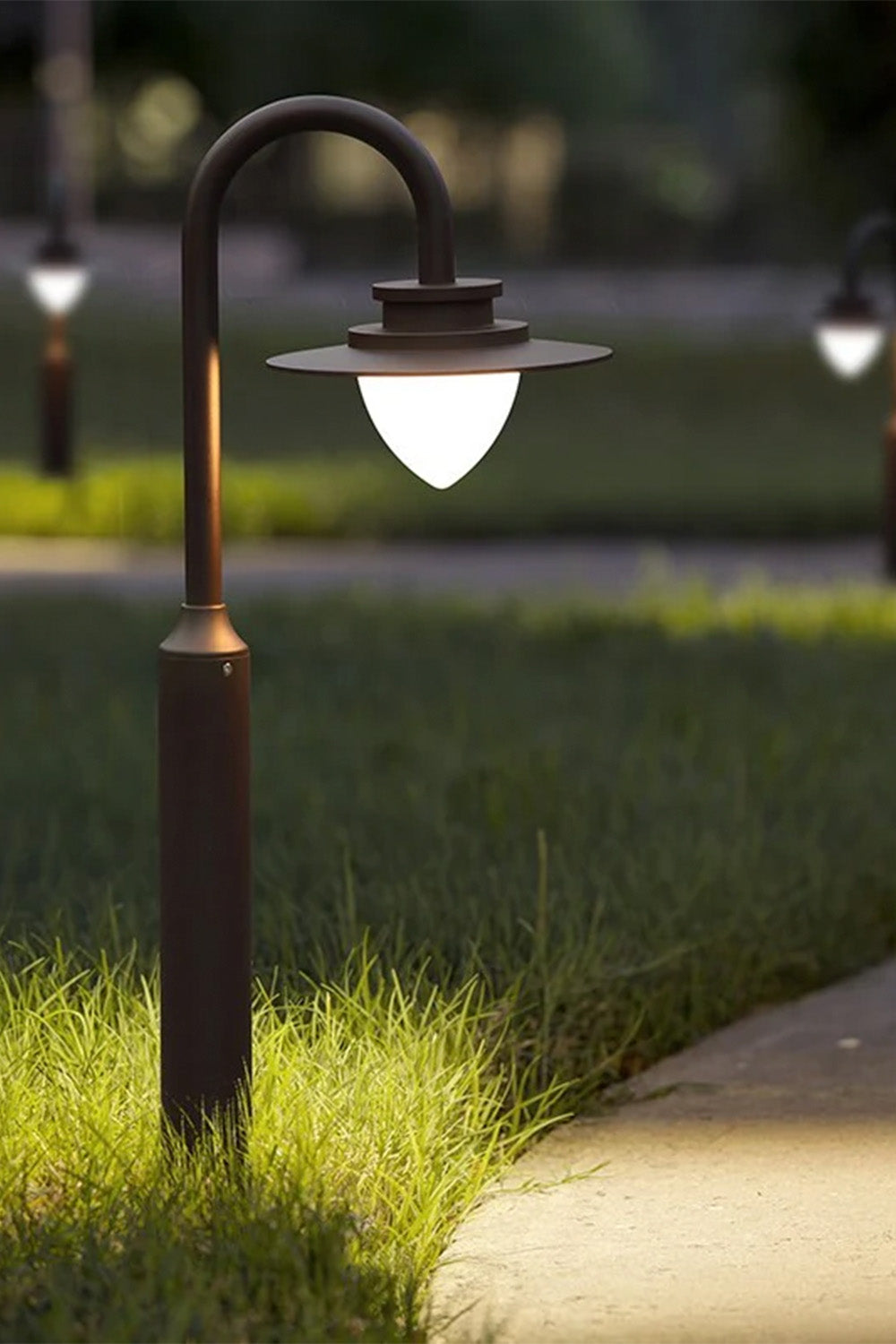 Calais Bolard Kahve - 1