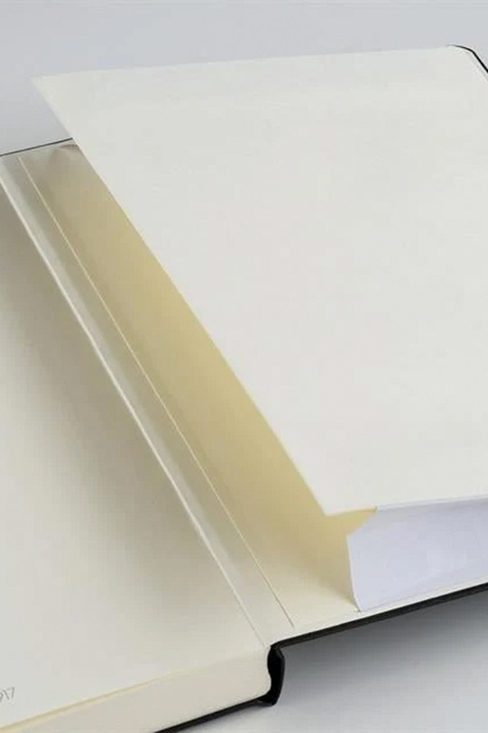 2025 Colors Orta Boy (A5), Sert Kapak, 251 Sayfa, Noktalı Defter Spring Leaf 372193 - 2