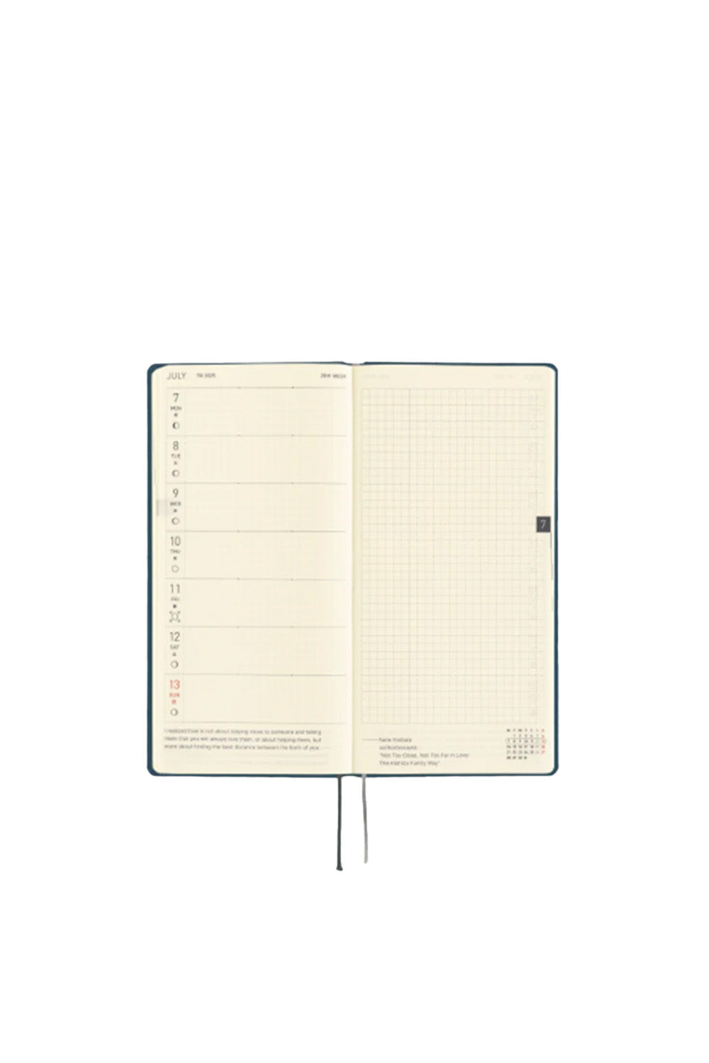 Techo Weeks 2025 Colors: Star Dust - 5