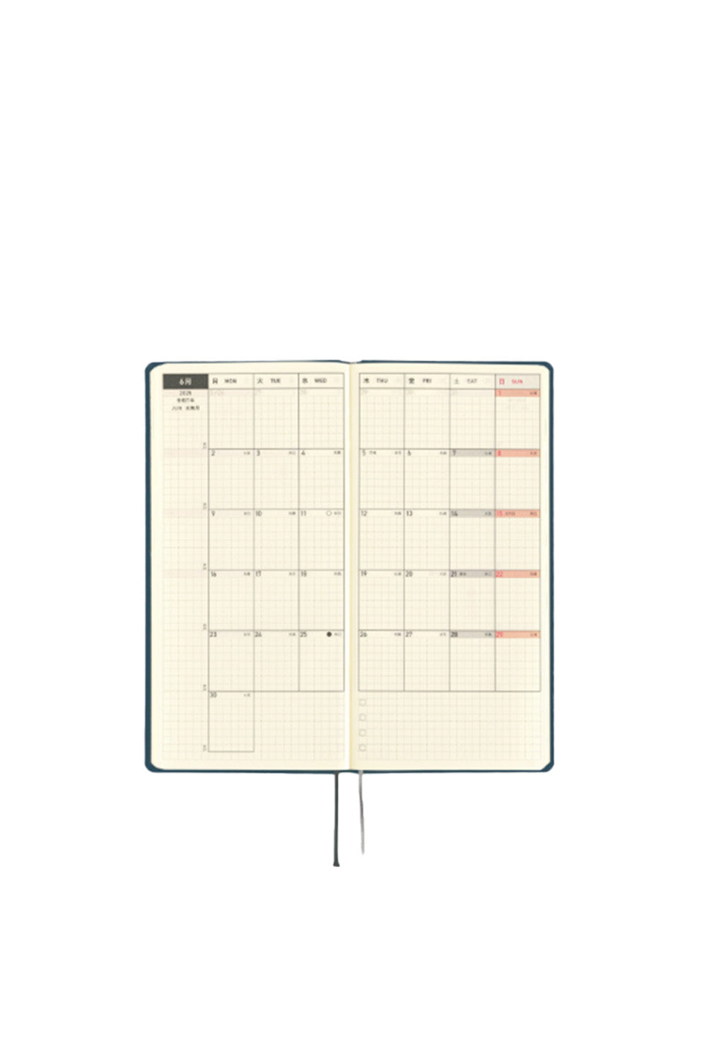 Techo Weeks 2025 Colors: Star Dust - 6