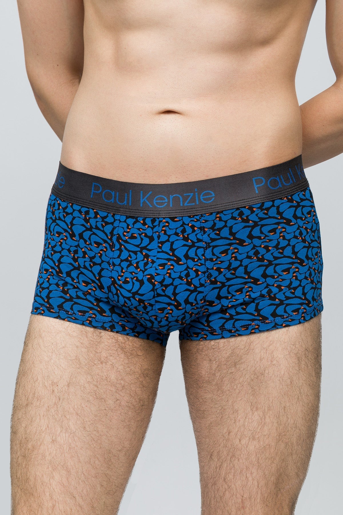 Desenli Erkek Trunk Boxer Goose - 0