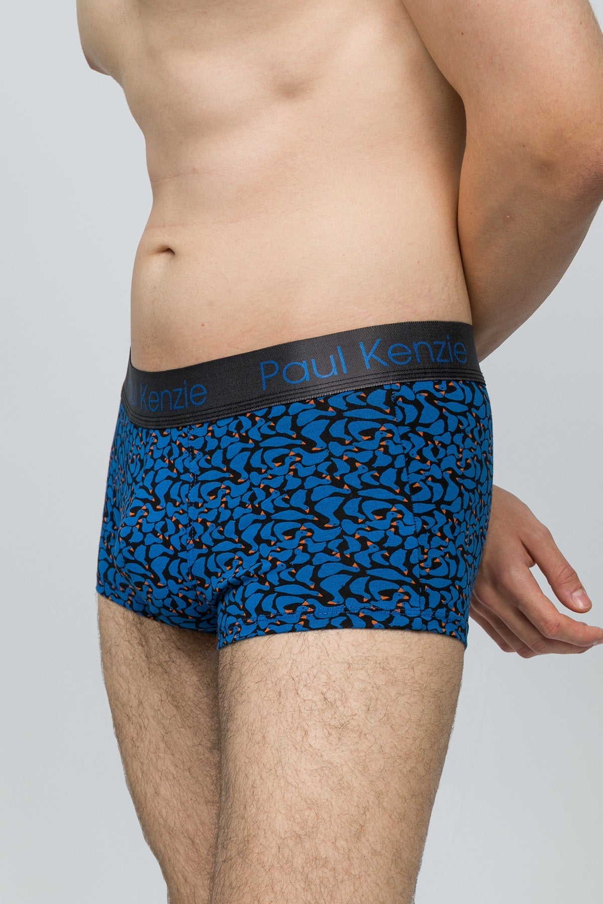Desenli Erkek Trunk Boxer Goose - 3