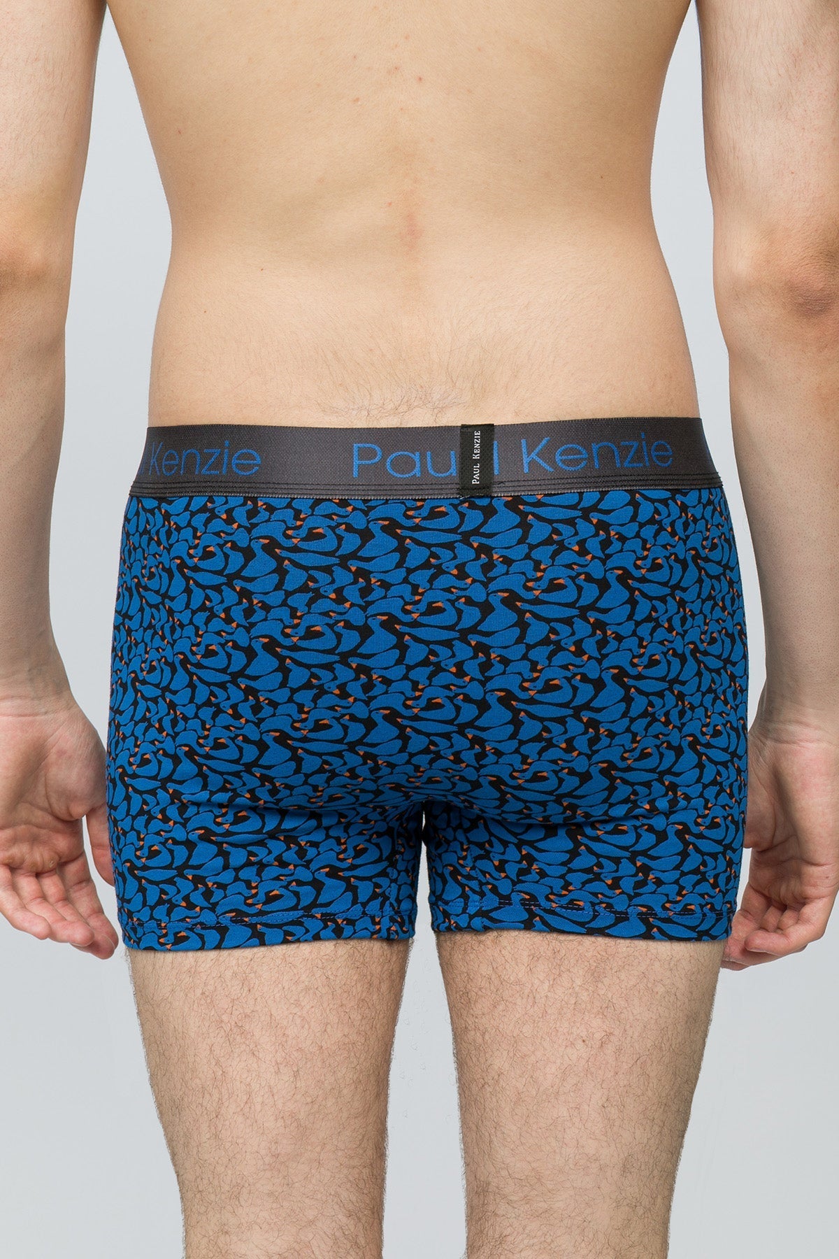 Desenli Erkek Boxer Goose - 3