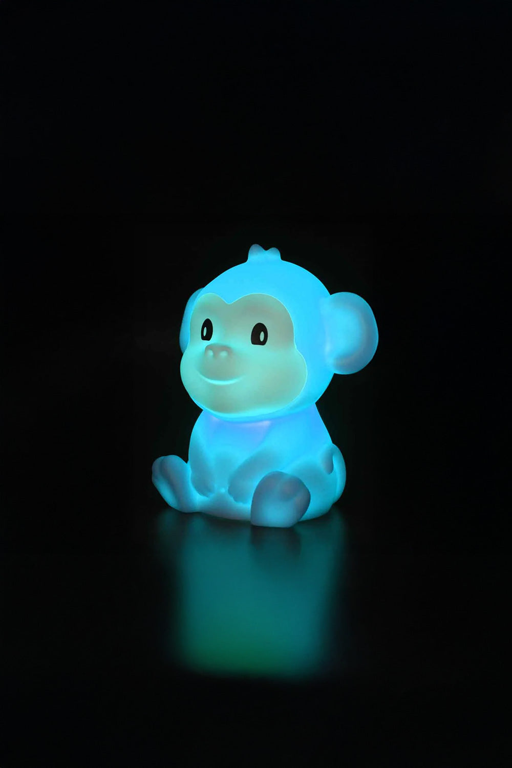 Zodiac Monkey Gece Lambası - 5