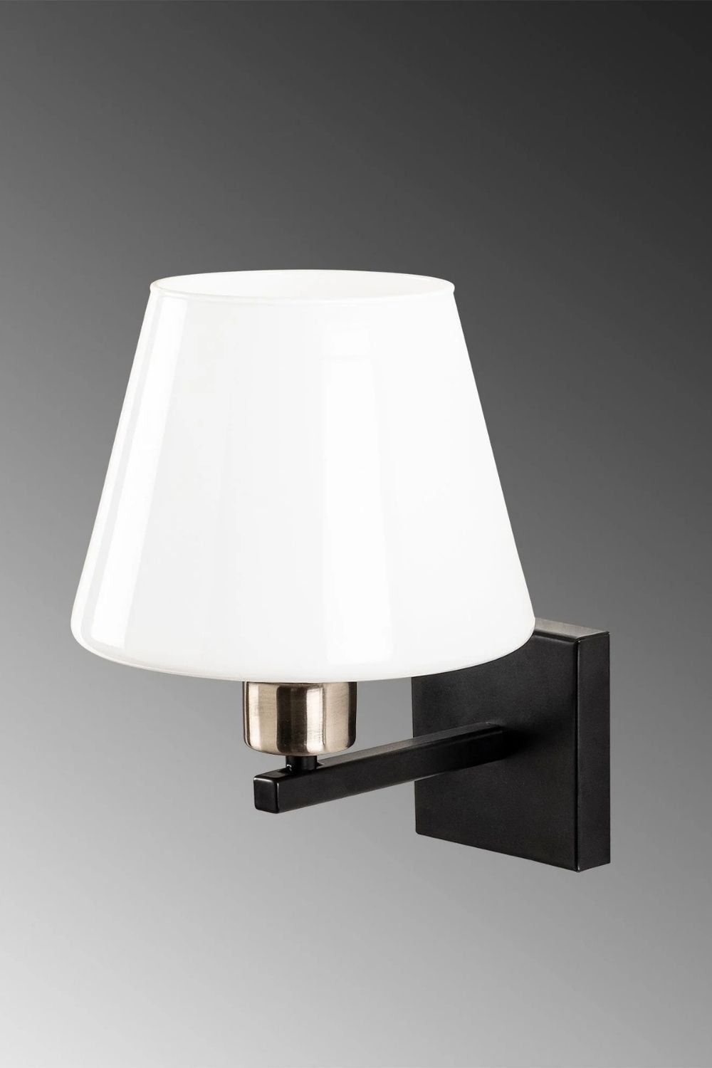 Delphinium 4661 Cam Aplik Duvar Aydınlatma - 2