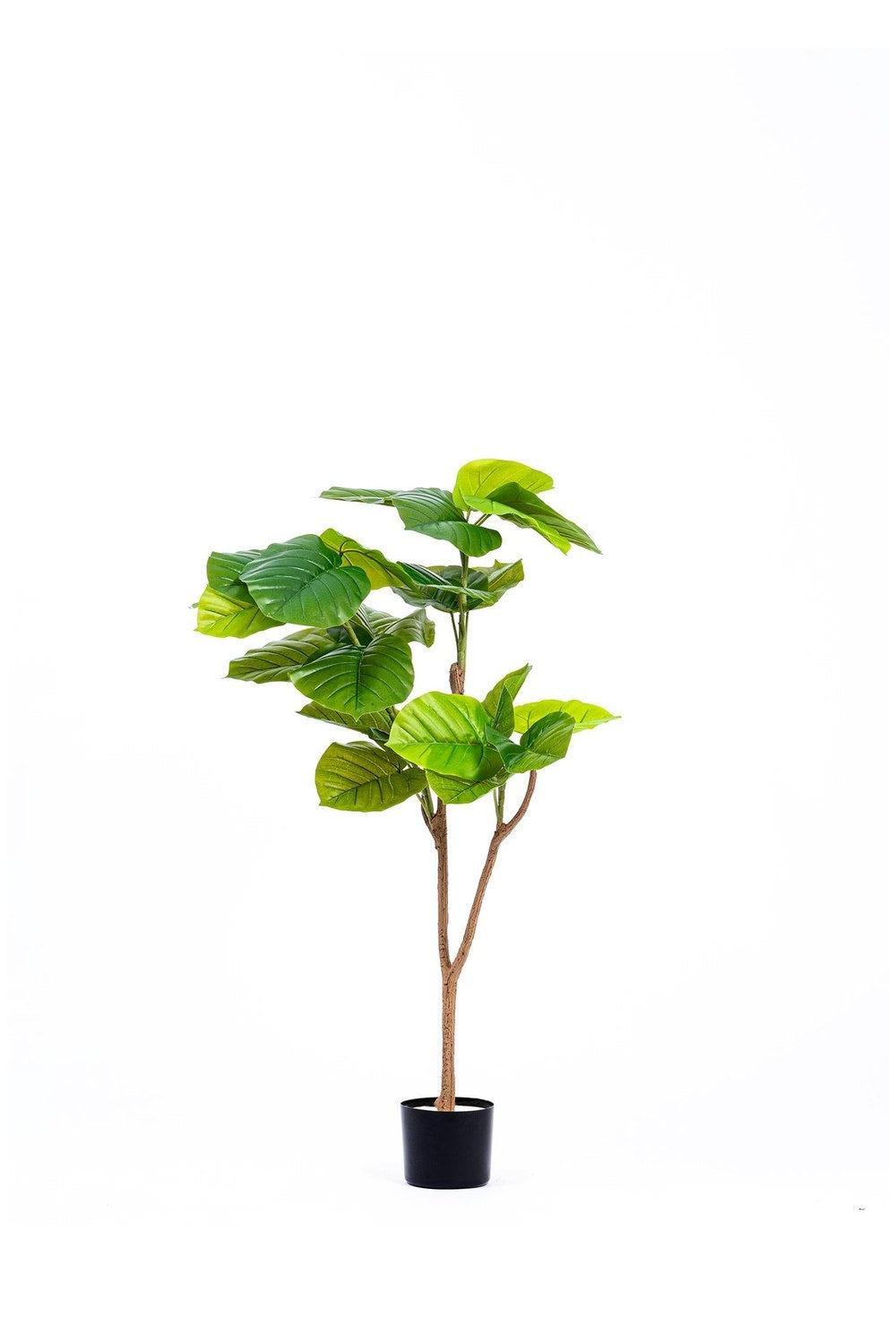 Ficus Umbellata Yapay Ağaç, Yeşil, 4 Dallı, 120 Cm - 0