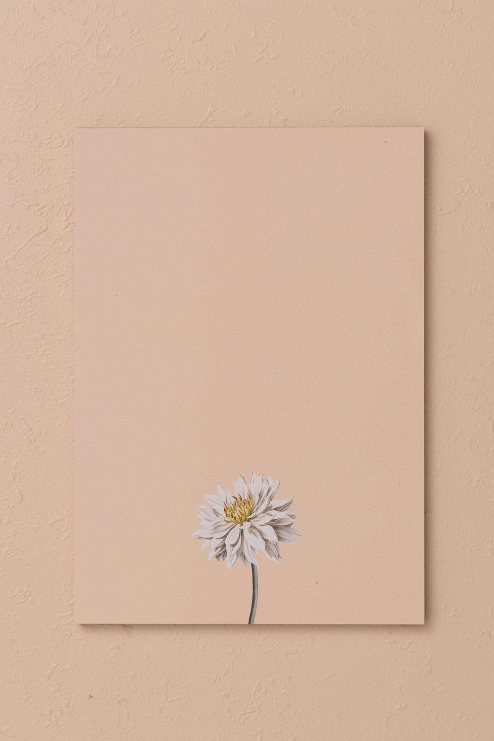 Art Line Mini Notluk Dahlia, 15 × 21 Cm, 40 Yaprak - 2