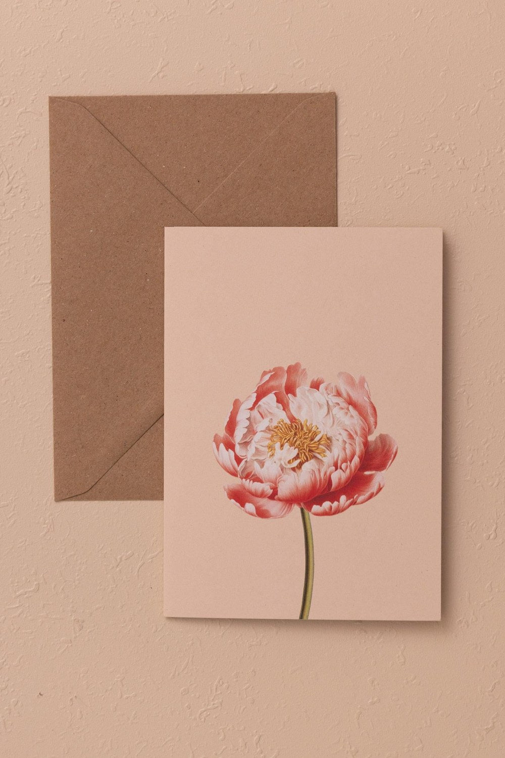 Art Line Mini Tebrik Kart Seti Peonie 10 X 14 Cm - 0