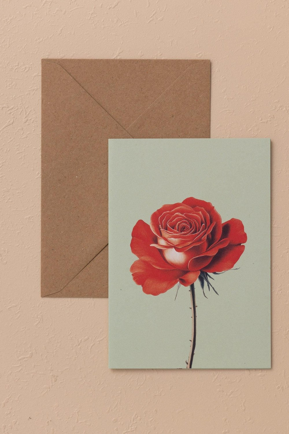 Art Line Mini Tebrik Kart Seti Rose 10 X 14 Cm - 0