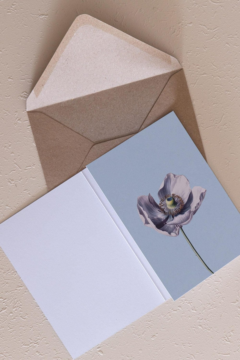 Art Line Mini Tebrik Kart Seti Anemone 10 X 14 Cm - 1