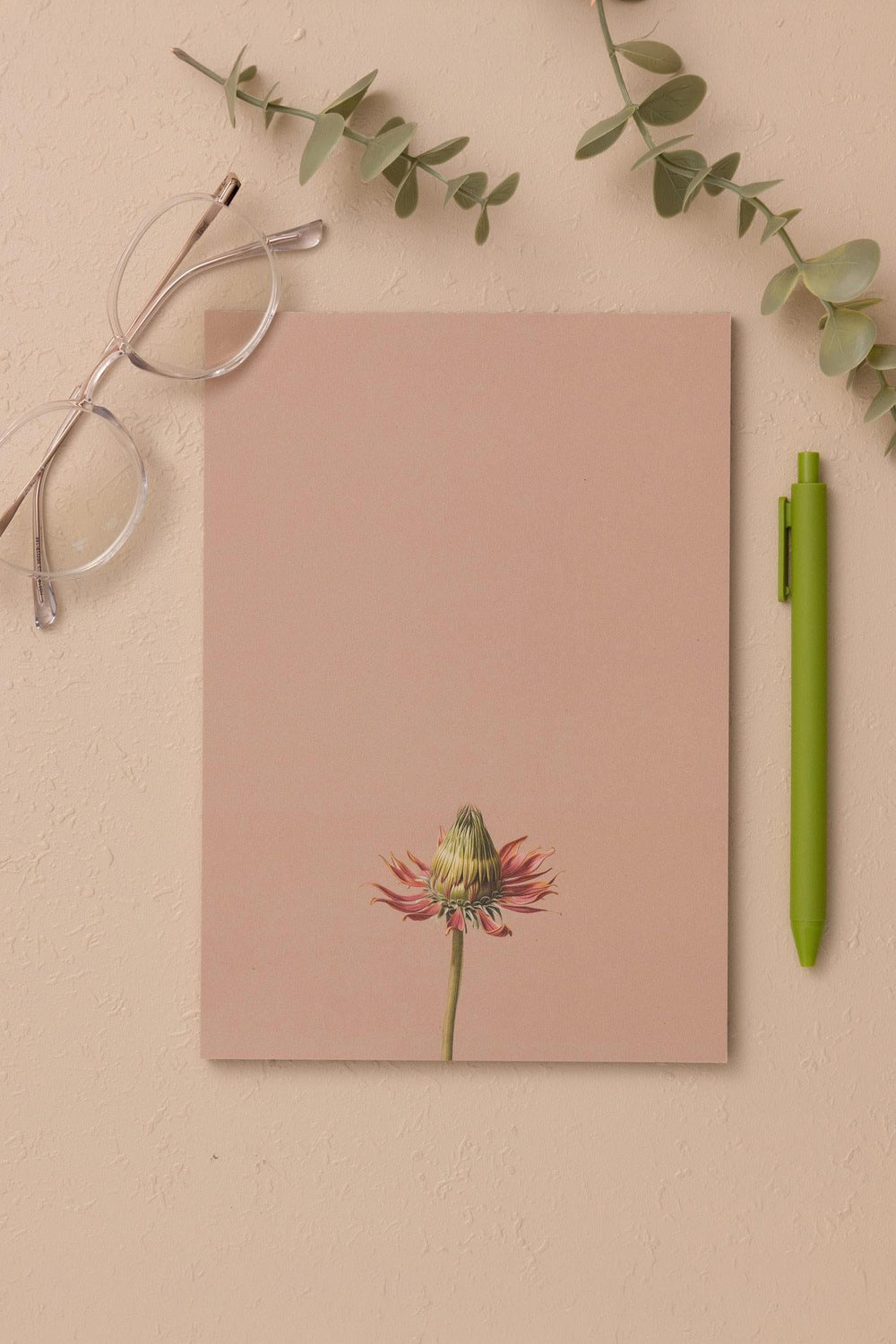 Art Line Mini Notluk Coneflower, 15 × 21 Cm, 40 Yaprak - 2
