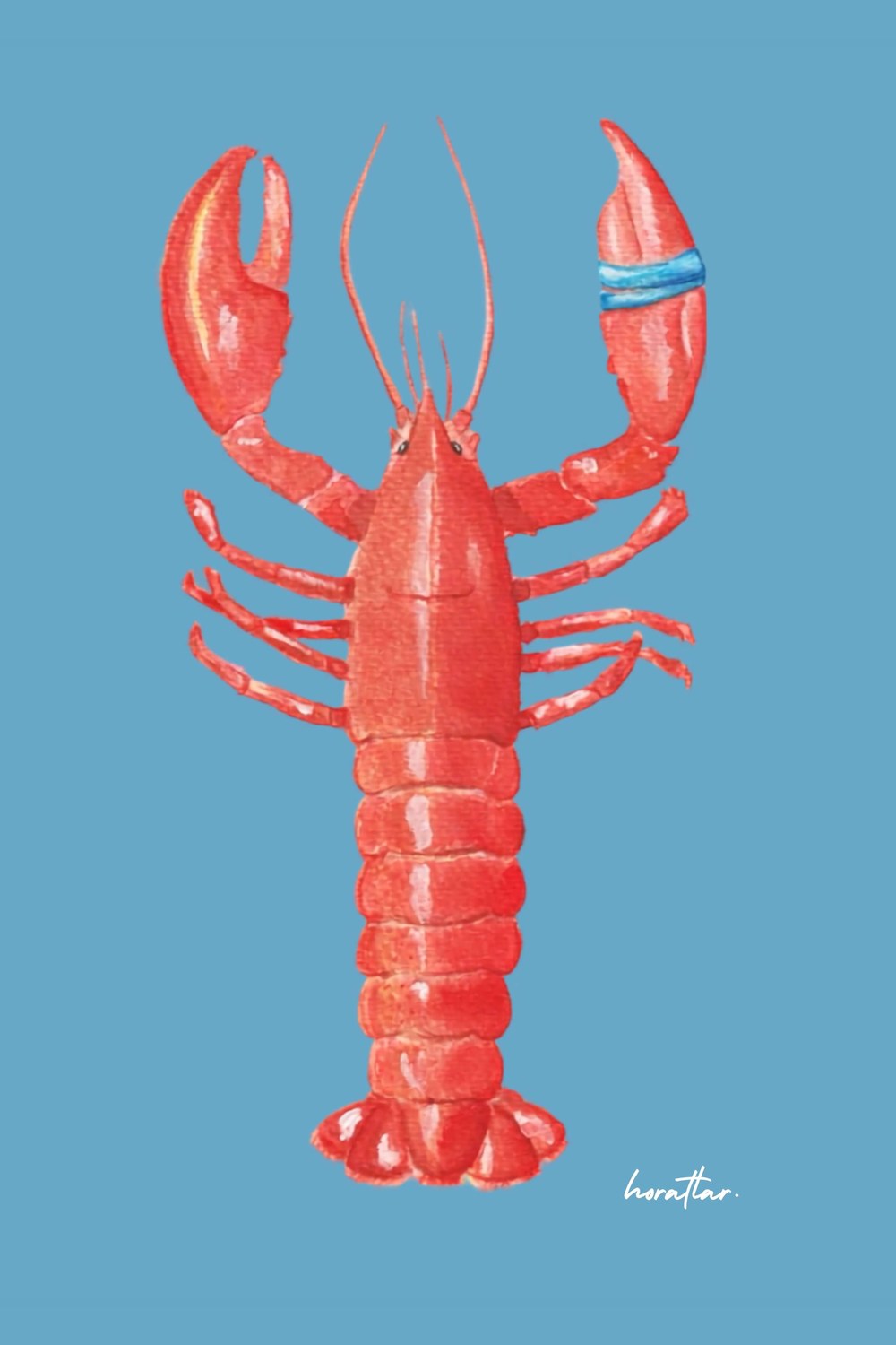 Hazal Türer - Lobster 3' Lü Set - 4