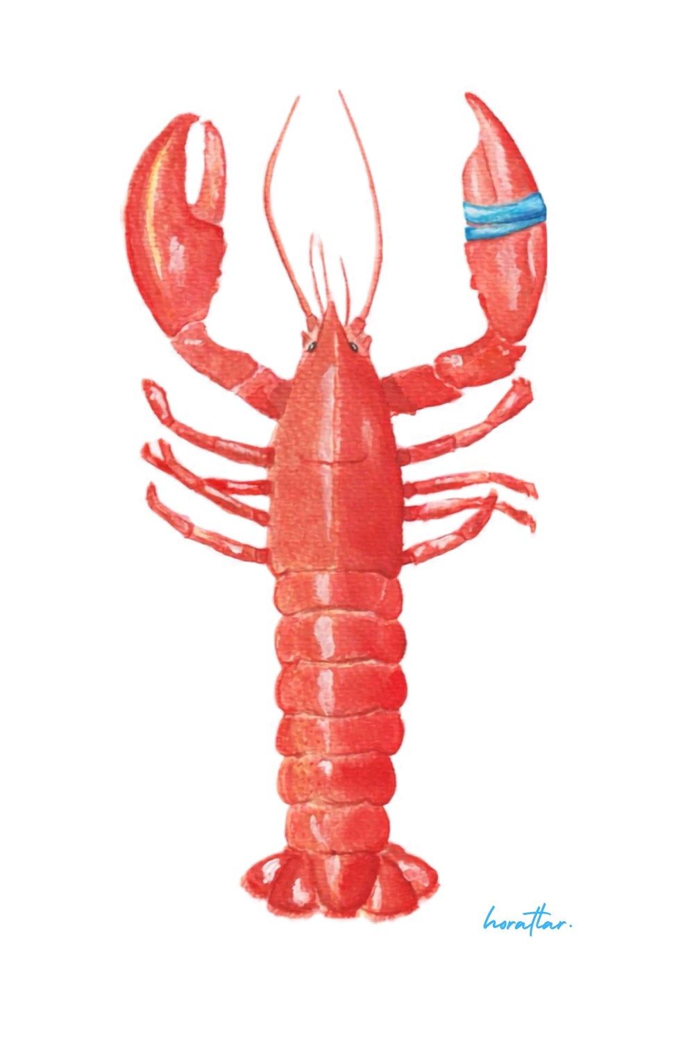 Hazal Türer - Lobster - 1