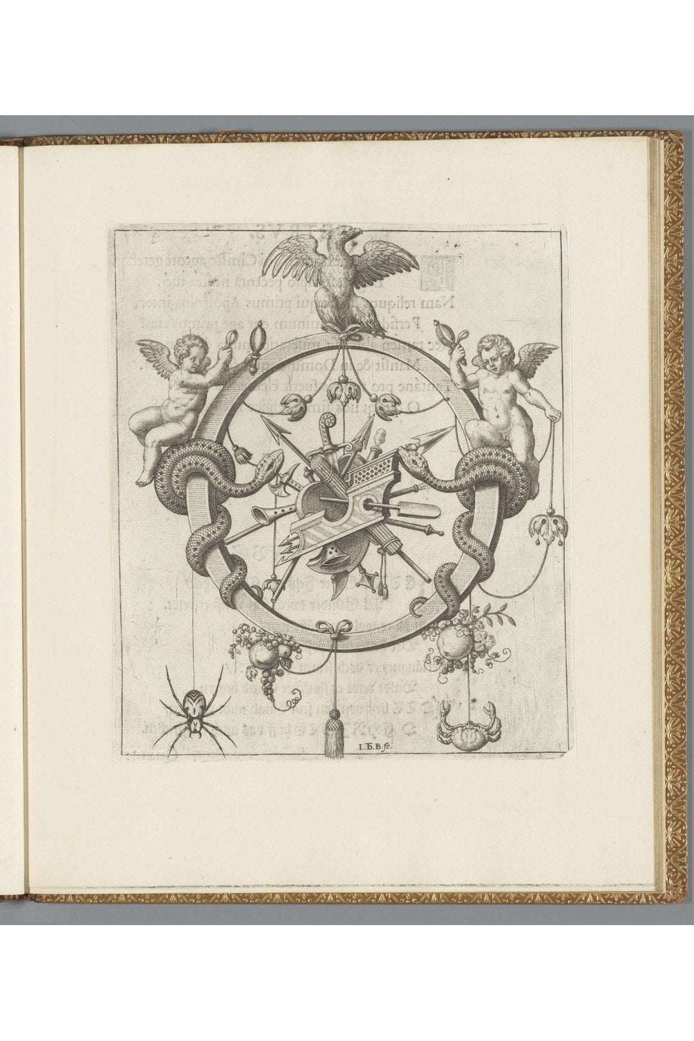 Johann Theodor De Bry - Ey Rab - 1