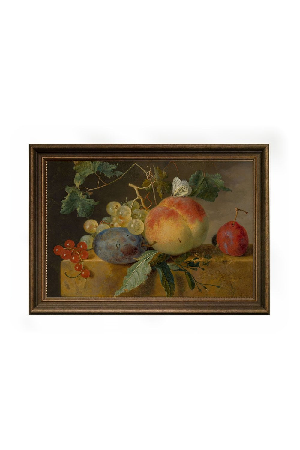 Jan Van Huysum - Meyve Natürmortu - 0