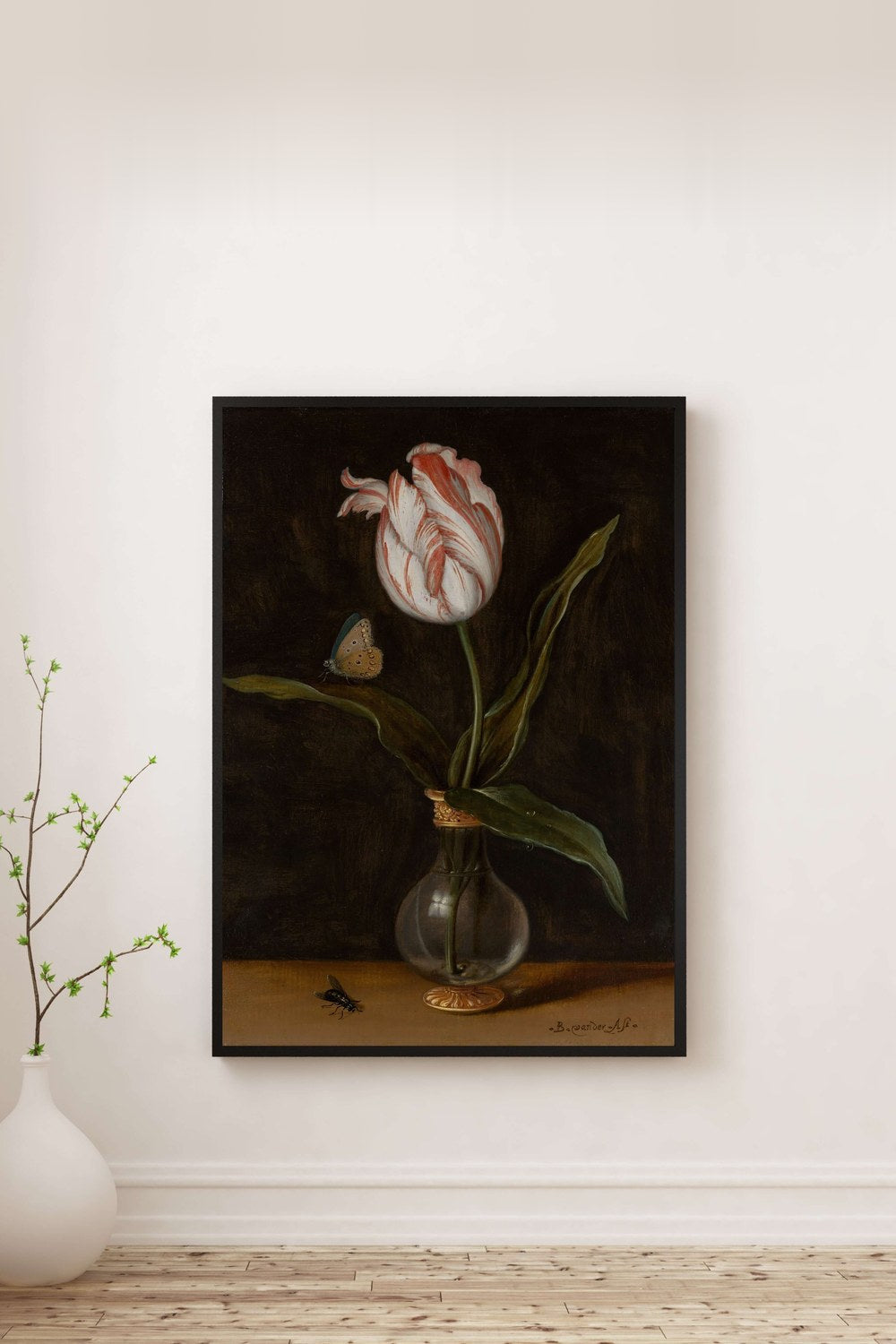 Balthasar Van Der Ast - Vazoda Tek Bir Lale - 0