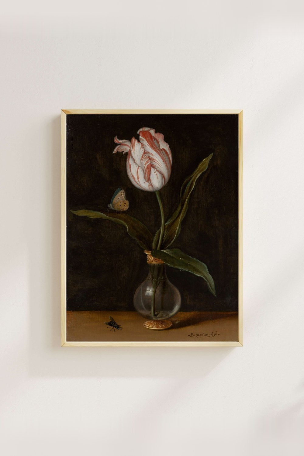 Balthasar Van Der Ast - Vazoda Tek Bir Lale - 3