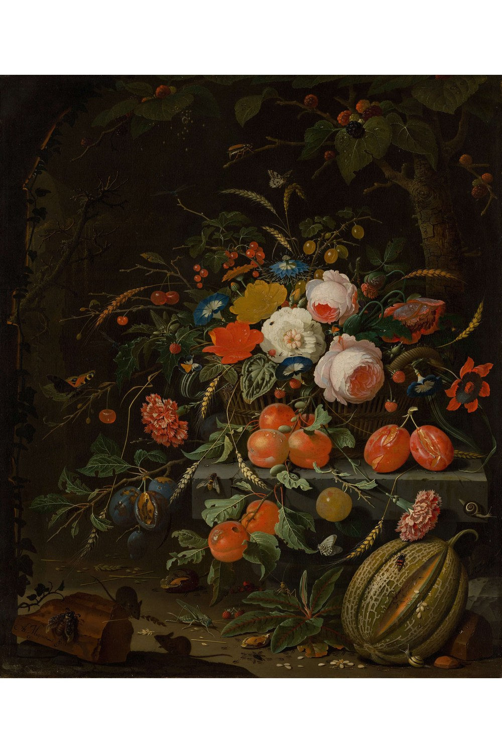 Abraham Mignon - Çiçekler Ve Meyveler - 1