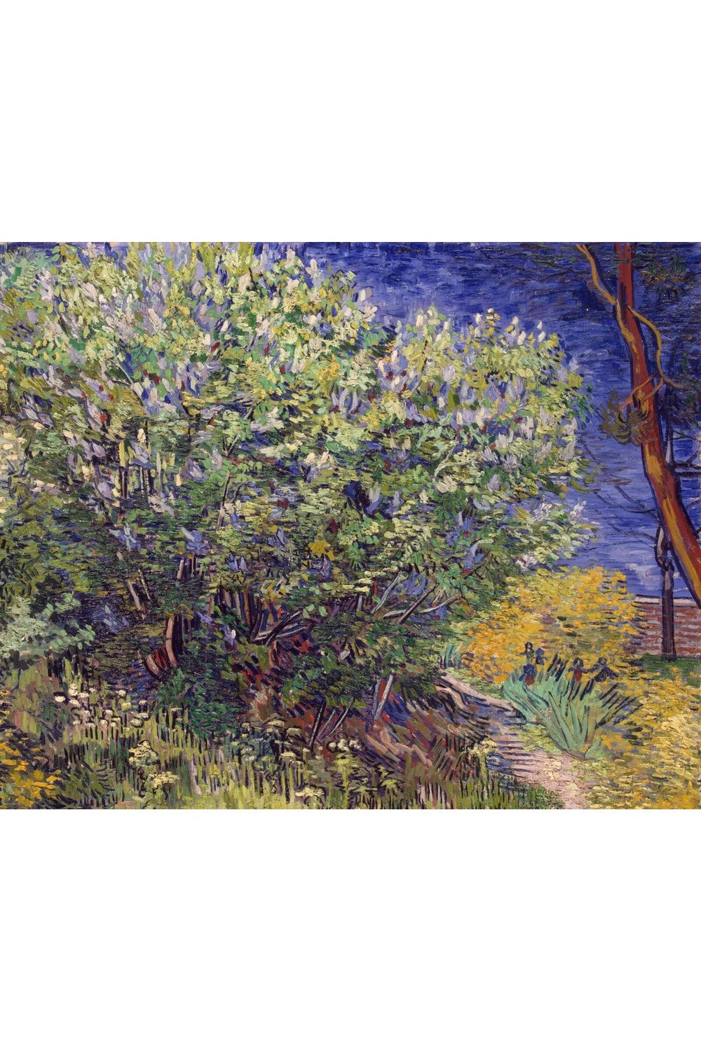 Vincent Van Gogh - Leylak Çalısı - 1