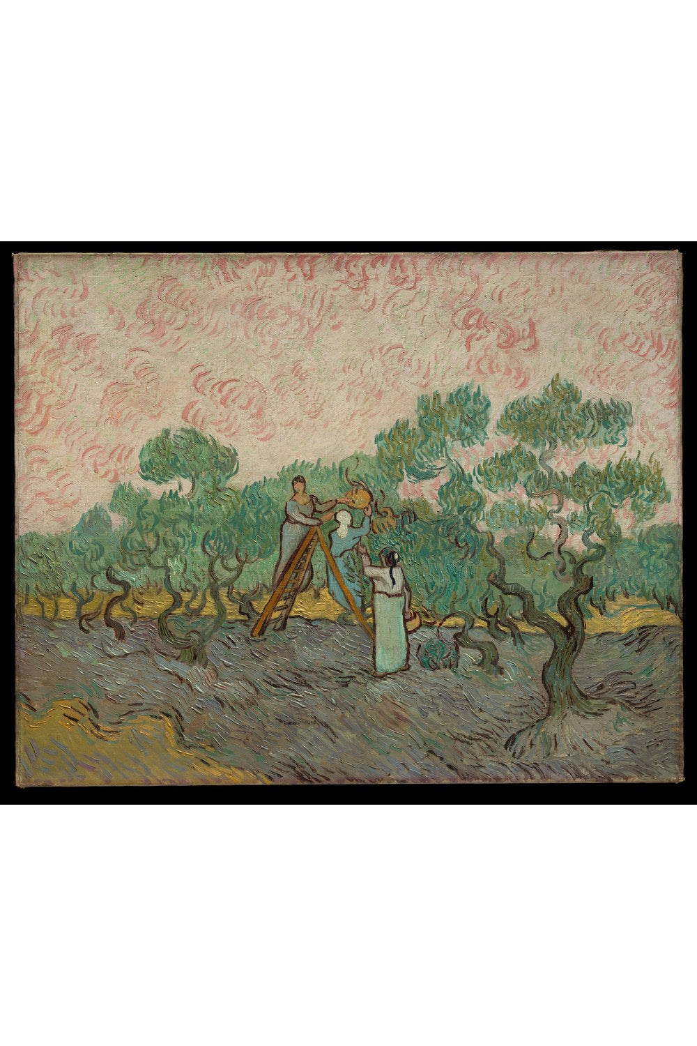 Vincent Van Gogh - Zeytin Toplayan Kadınlar - 1