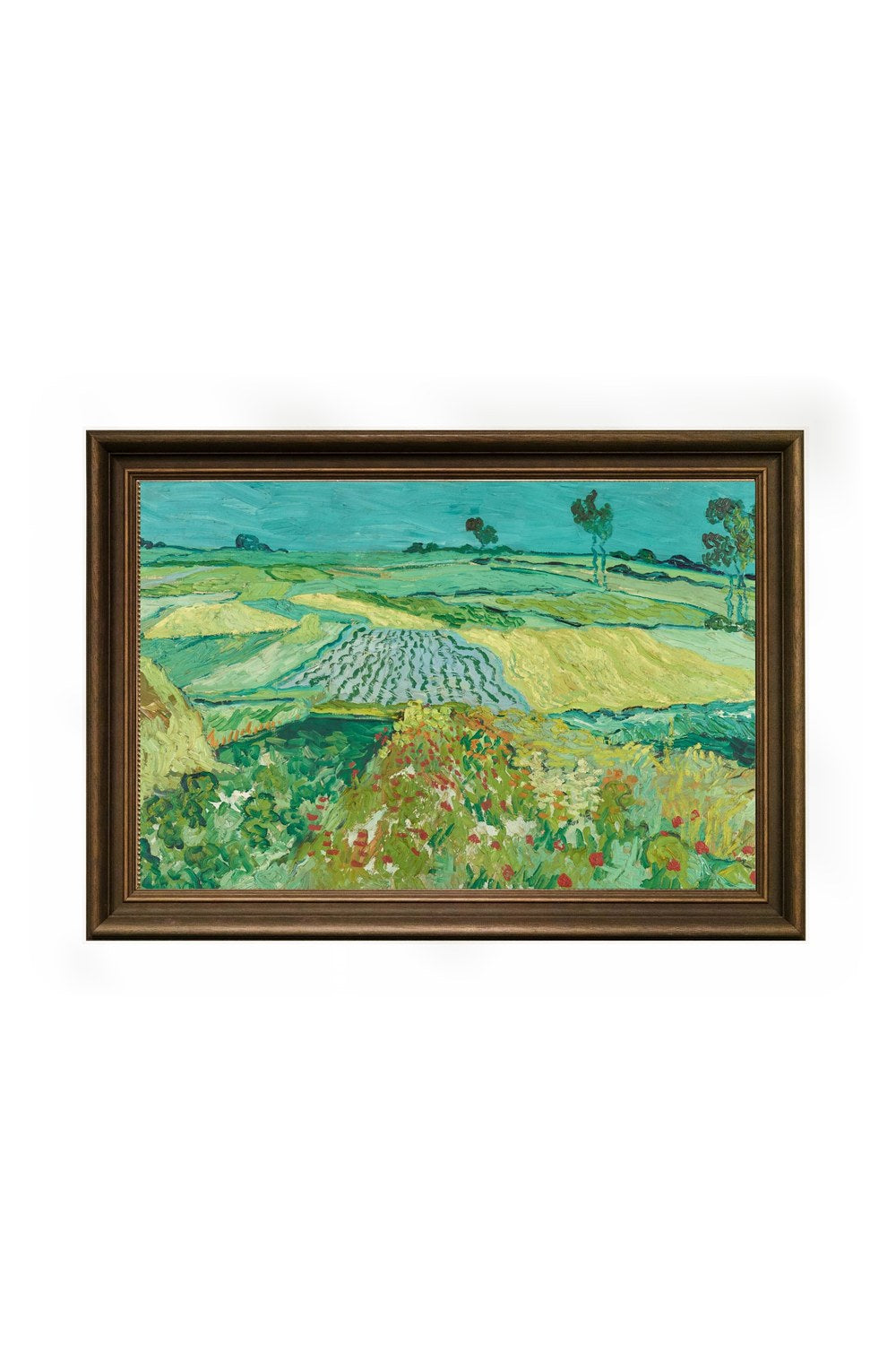 Vincent Van Gogh - Auvers Ovası - 0