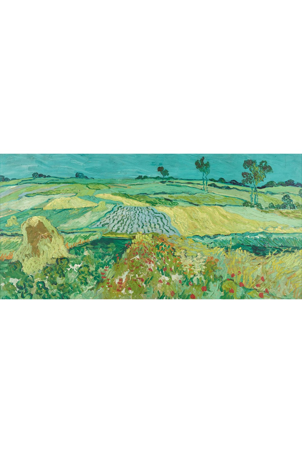 Vincent Van Gogh - Auvers Ovası - 1