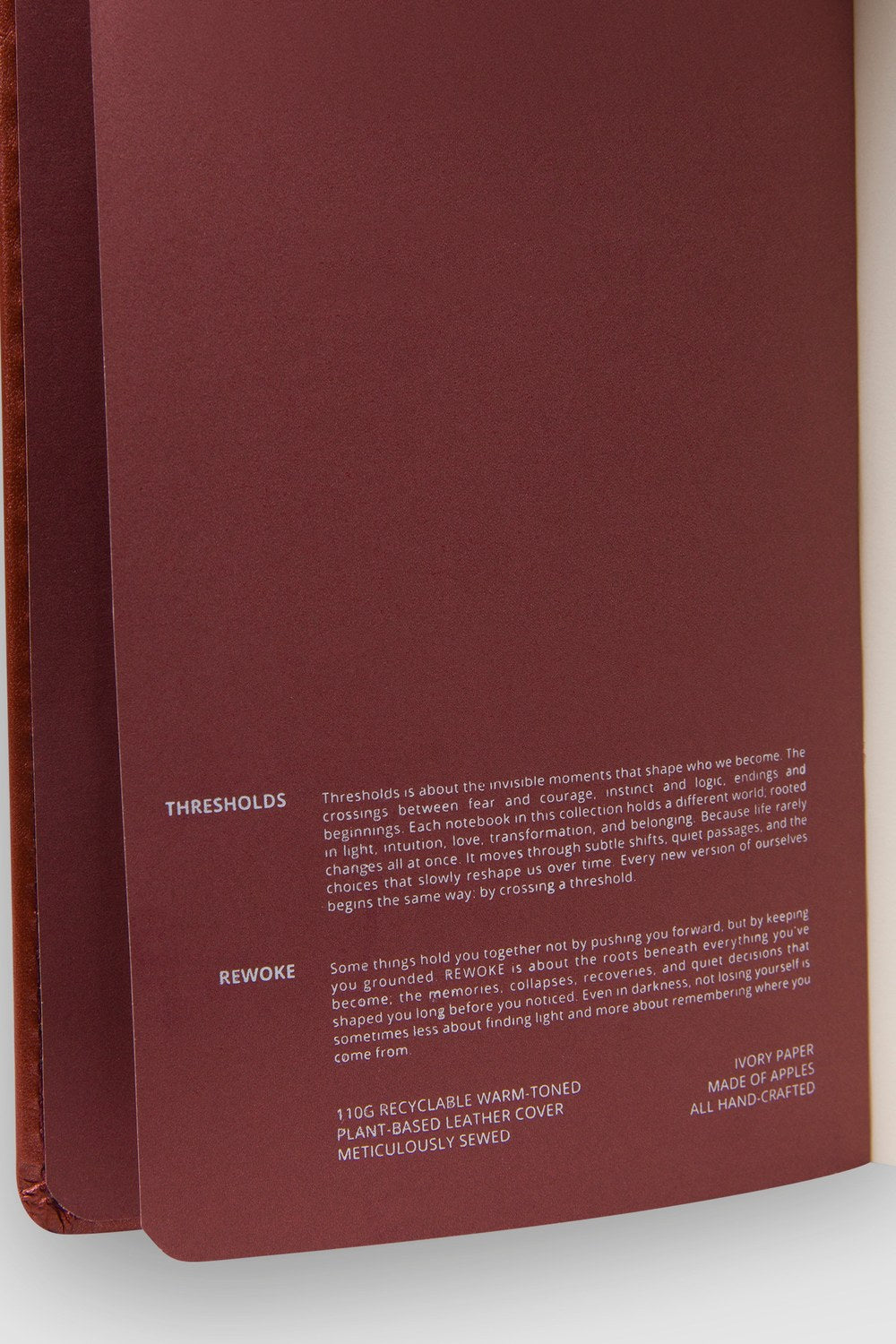 Rewoke Defter – A5 Elma Derisi Ciltli - 1