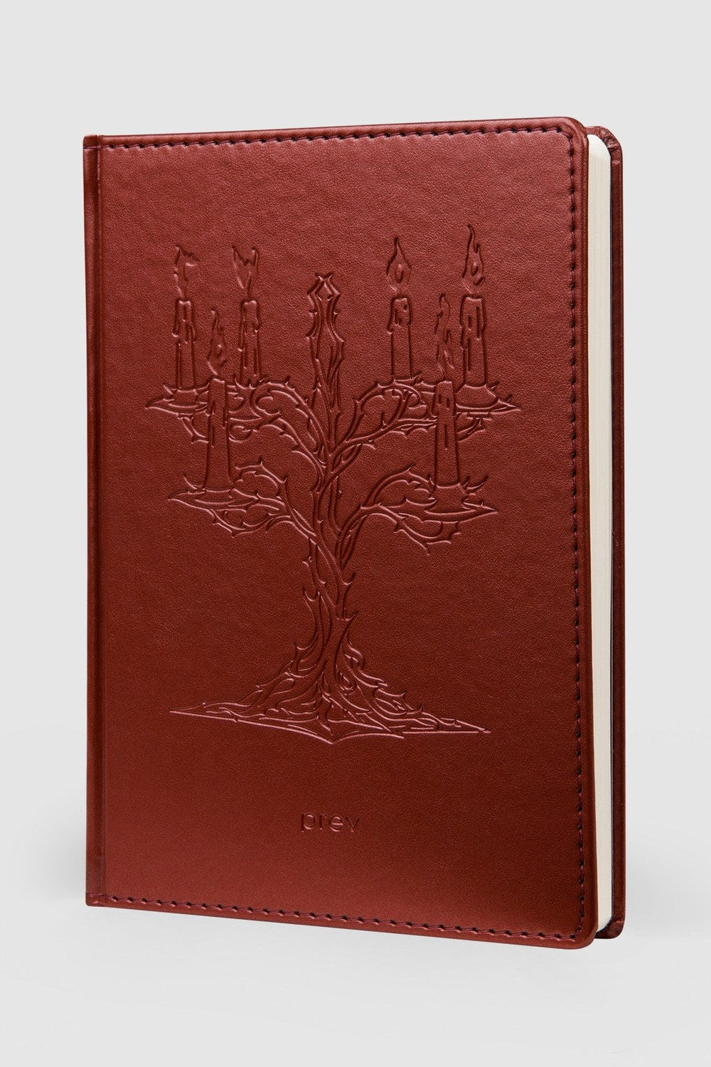 Rewoke Defter – A5 Elma Derisi Ciltli - 2