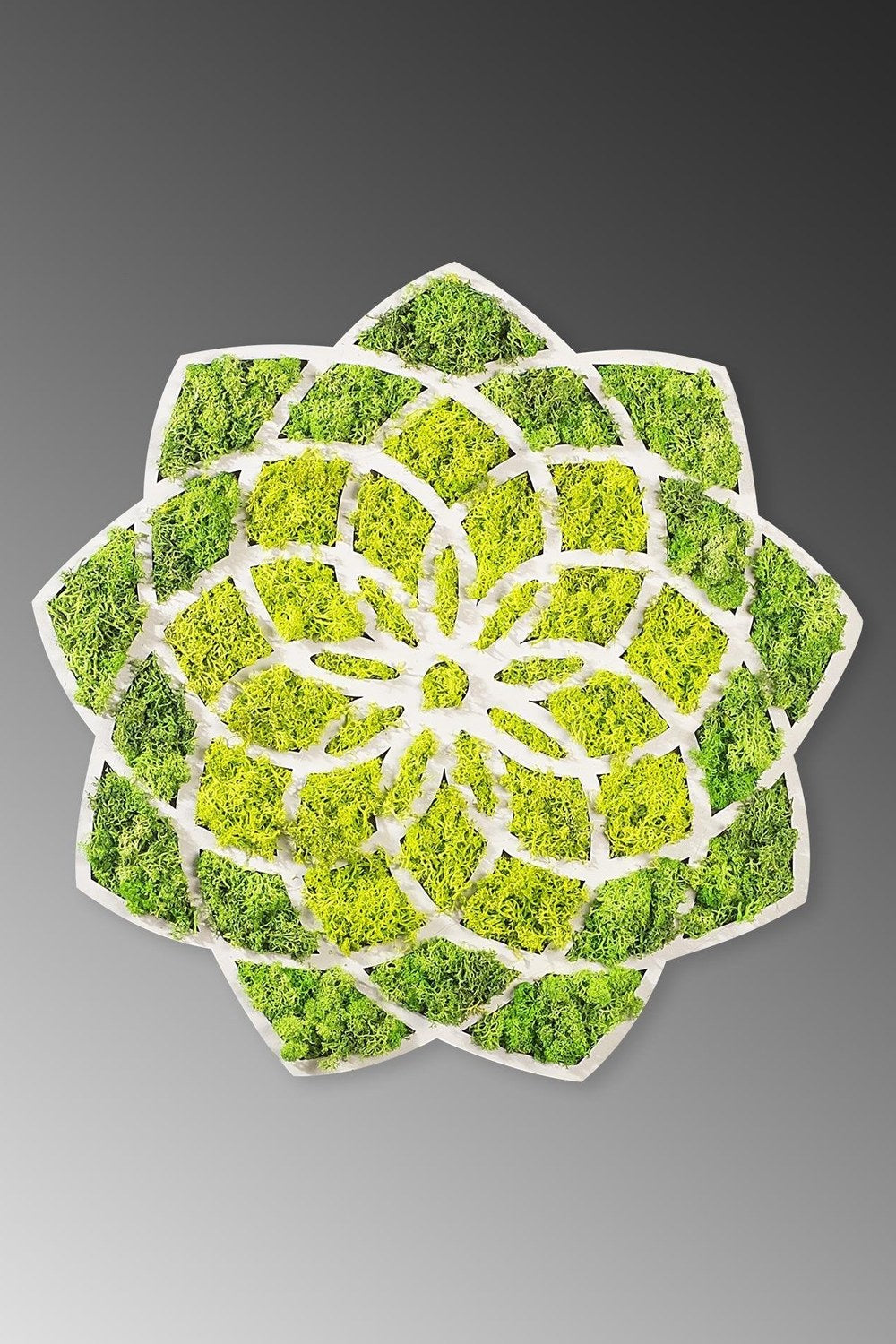 Yns-005 Dekoratif Yosun Duvar Tablosu - 2