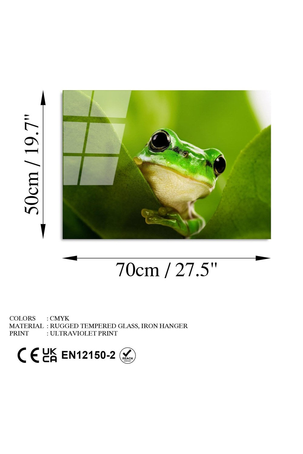 Uv-271 Baskılı Cam Dikdörtgen Duvar Tablosu - 7