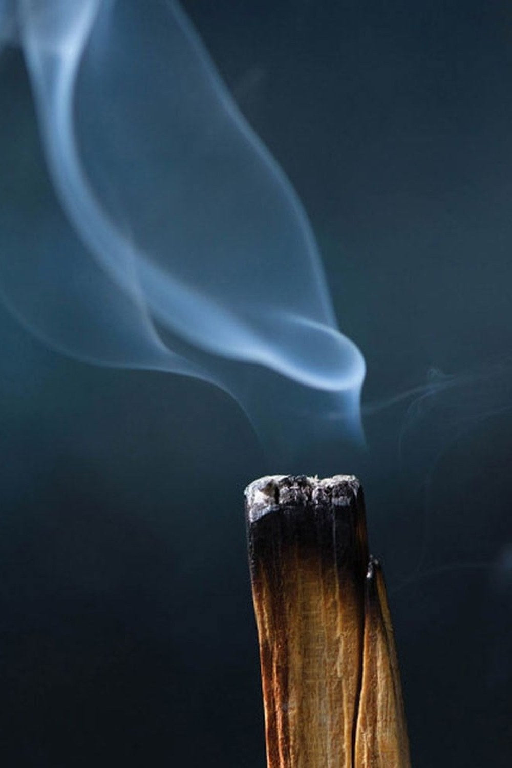 Natural Palo Santo Tütsü Ağacı 2 Li Set - 2