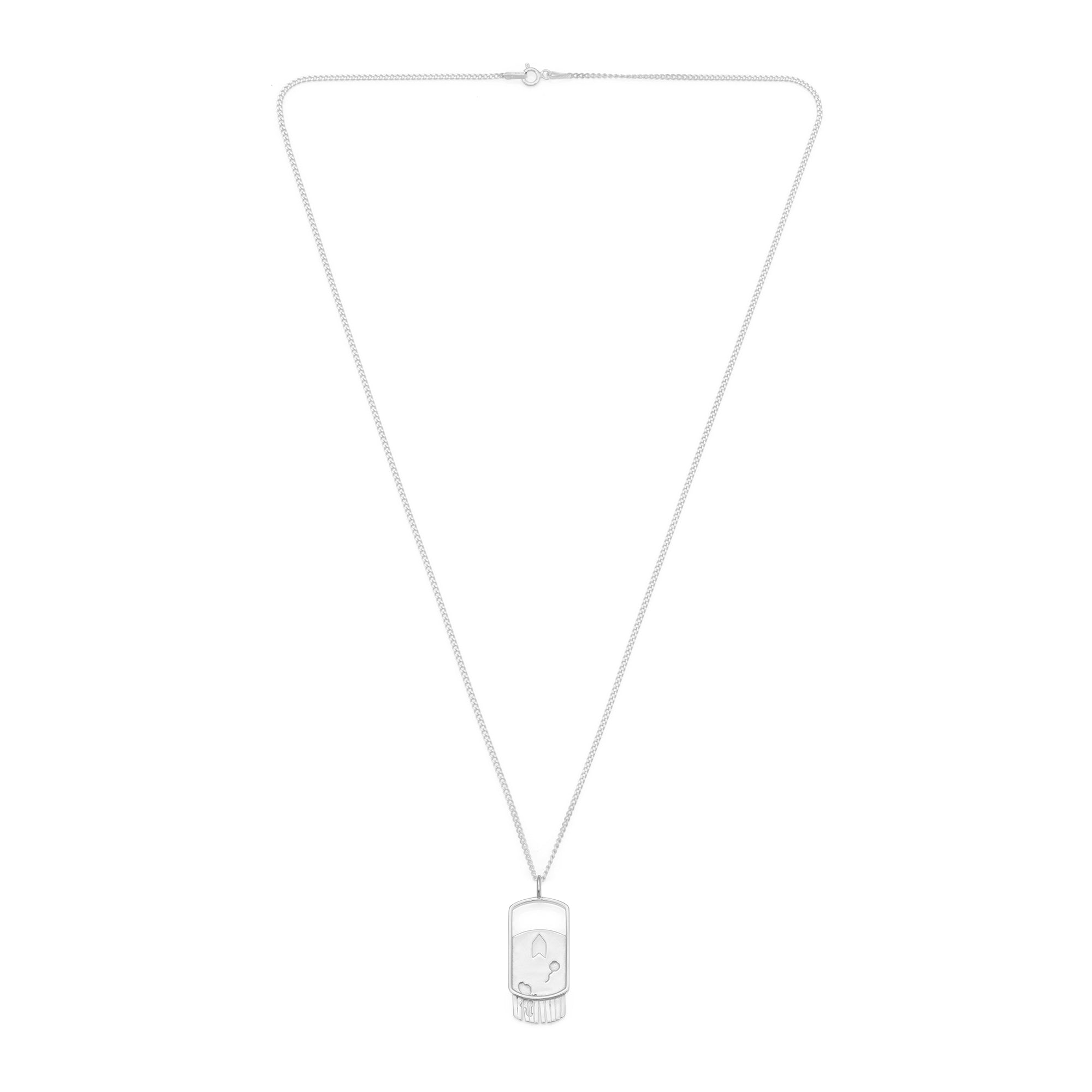 Show Necklace In Silver
