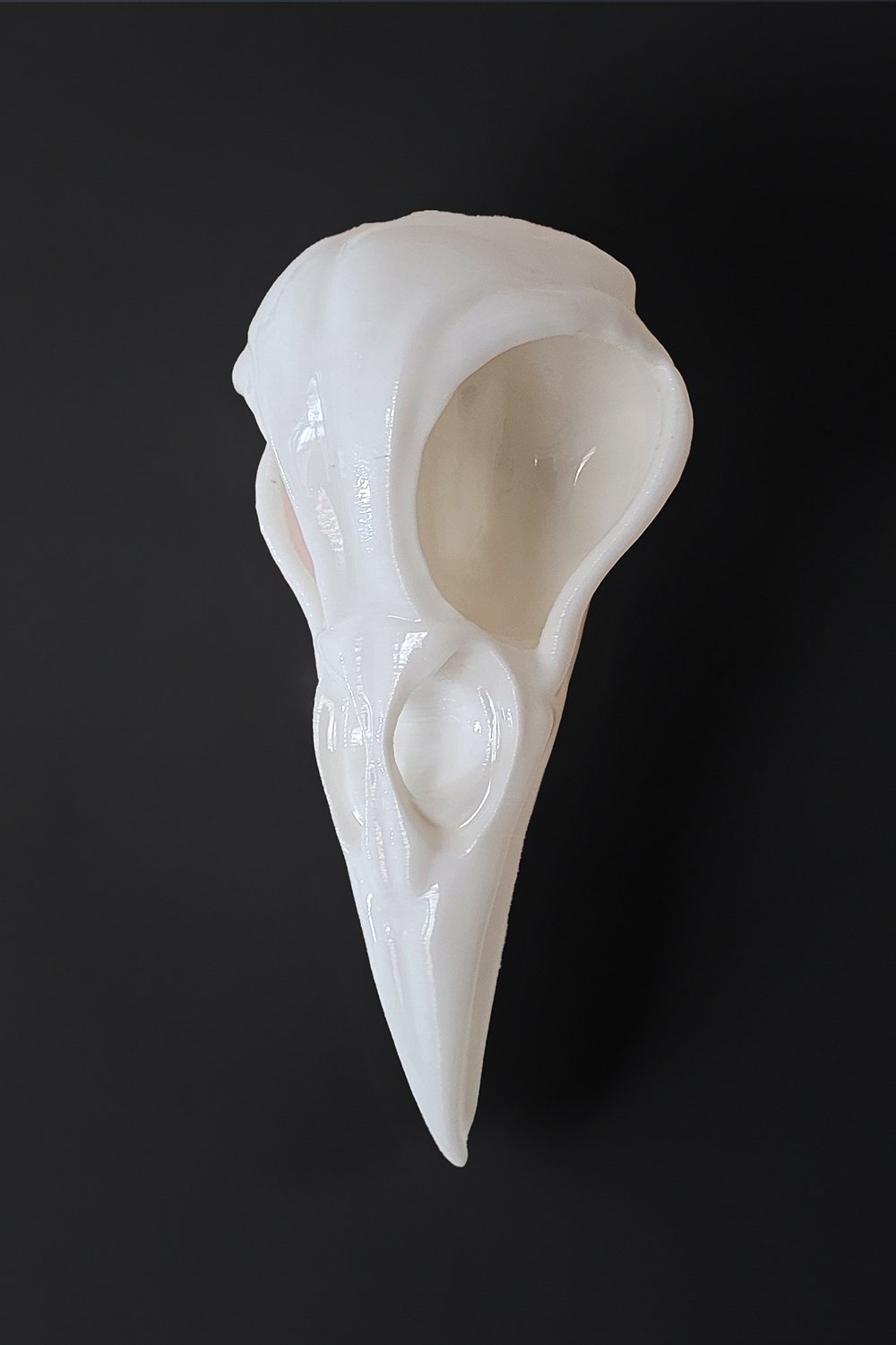 42A35 Home & Living-Karga Kafatası Duvar Ve Masa Üstü Heykeli | Beyaz-Duvar Dekorları-2-Milagron.com