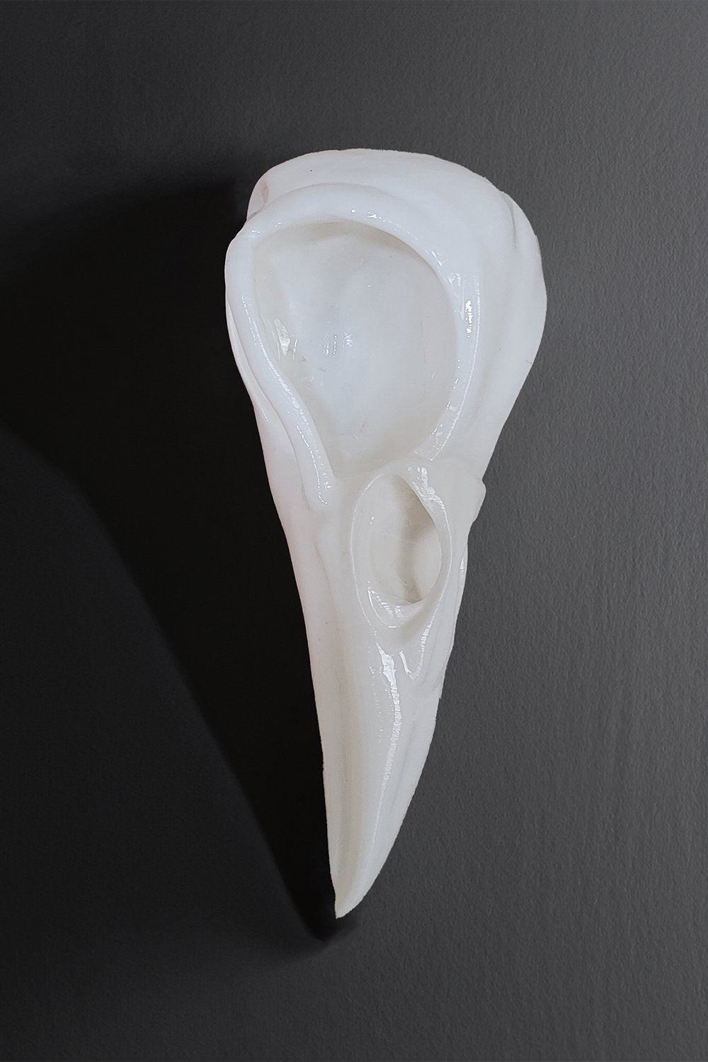 42A35 Home & Living-Karga Kafatası Duvar Ve Masa Üstü Heykeli | Beyaz-Duvar Dekorları-3-Milagron.com