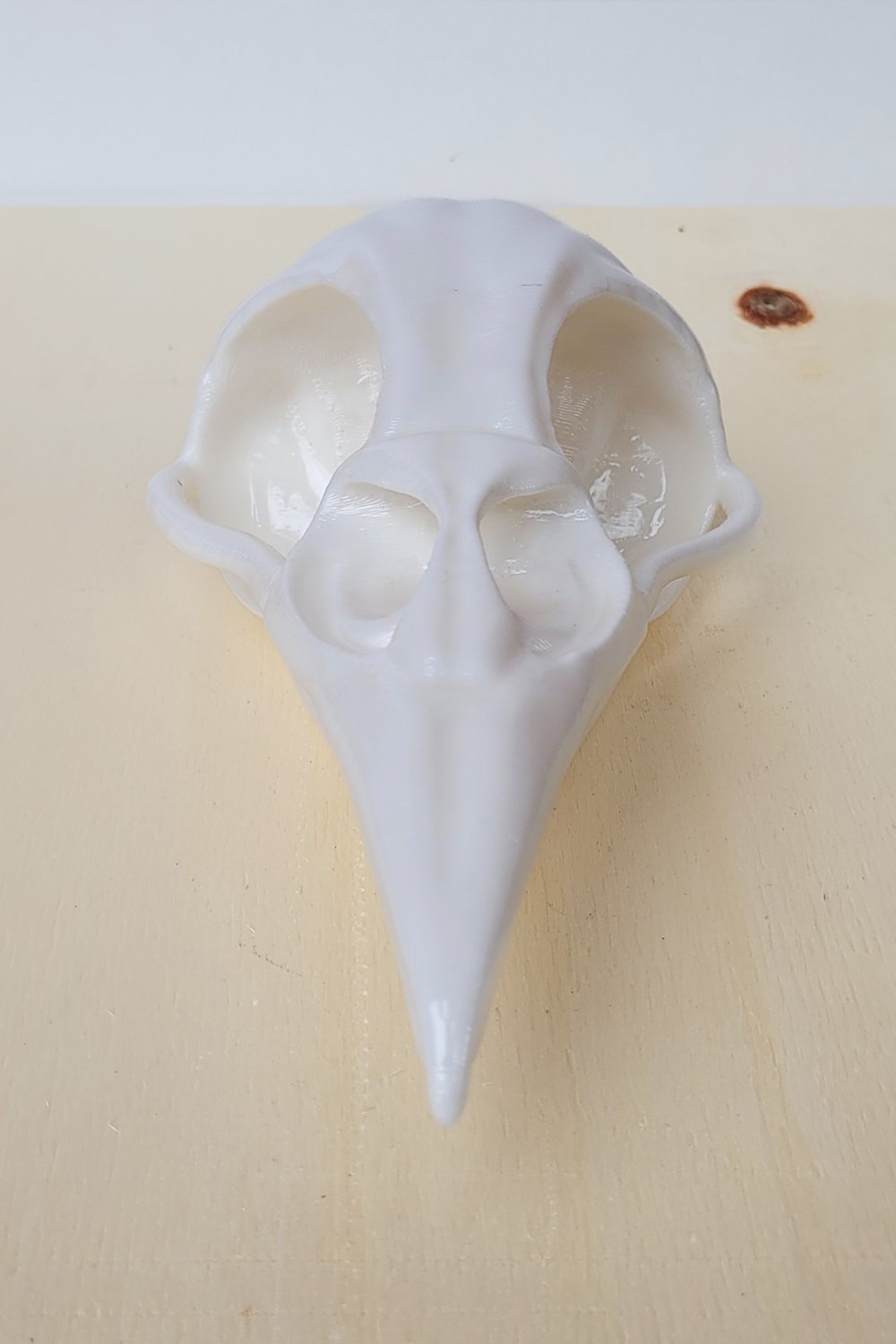 42A35 Home & Living-Karga Kafatası Duvar Ve Masa Üstü Heykeli | Beyaz-Duvar Dekorları-5-Milagron.com