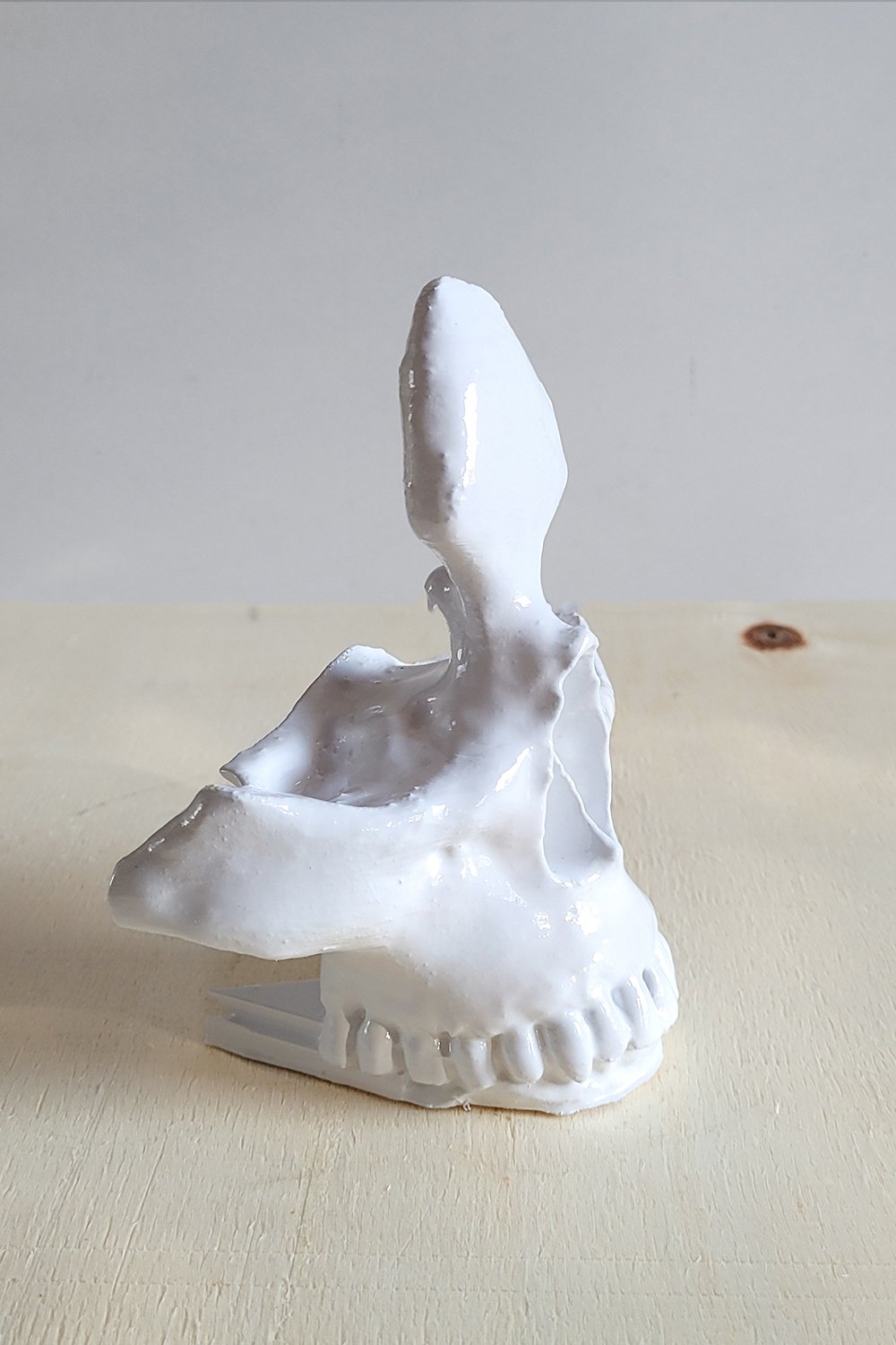 42A35 Home & Living-Kuru Kafa Gözlük Tutacağı | Beyaz-Takı Standı-6-Milagron.com